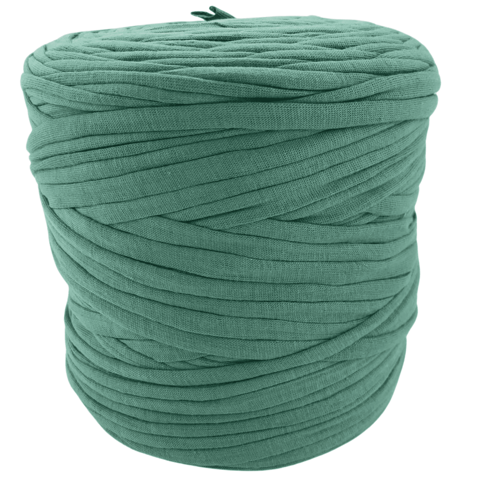 Mold Green 001