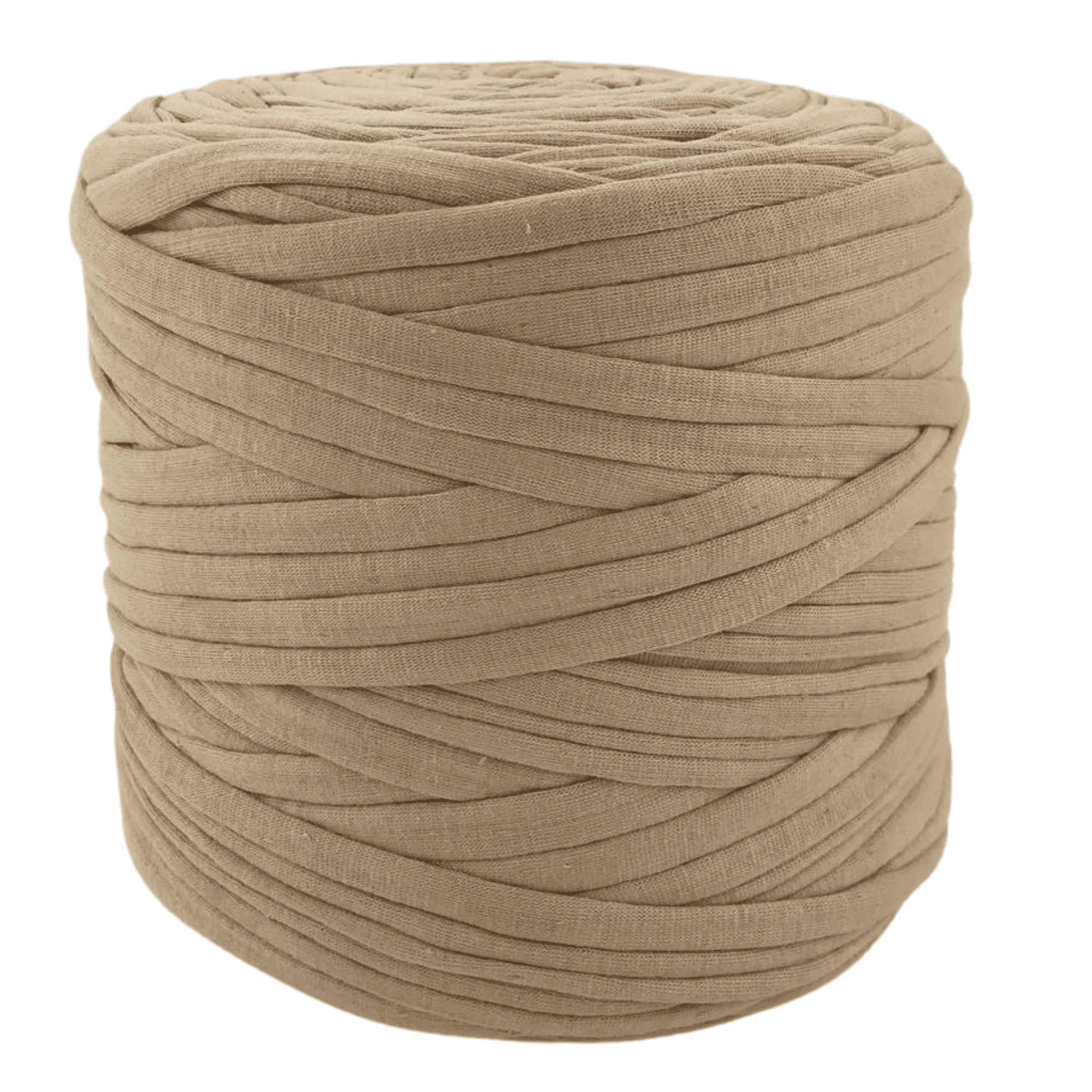 Camel 001