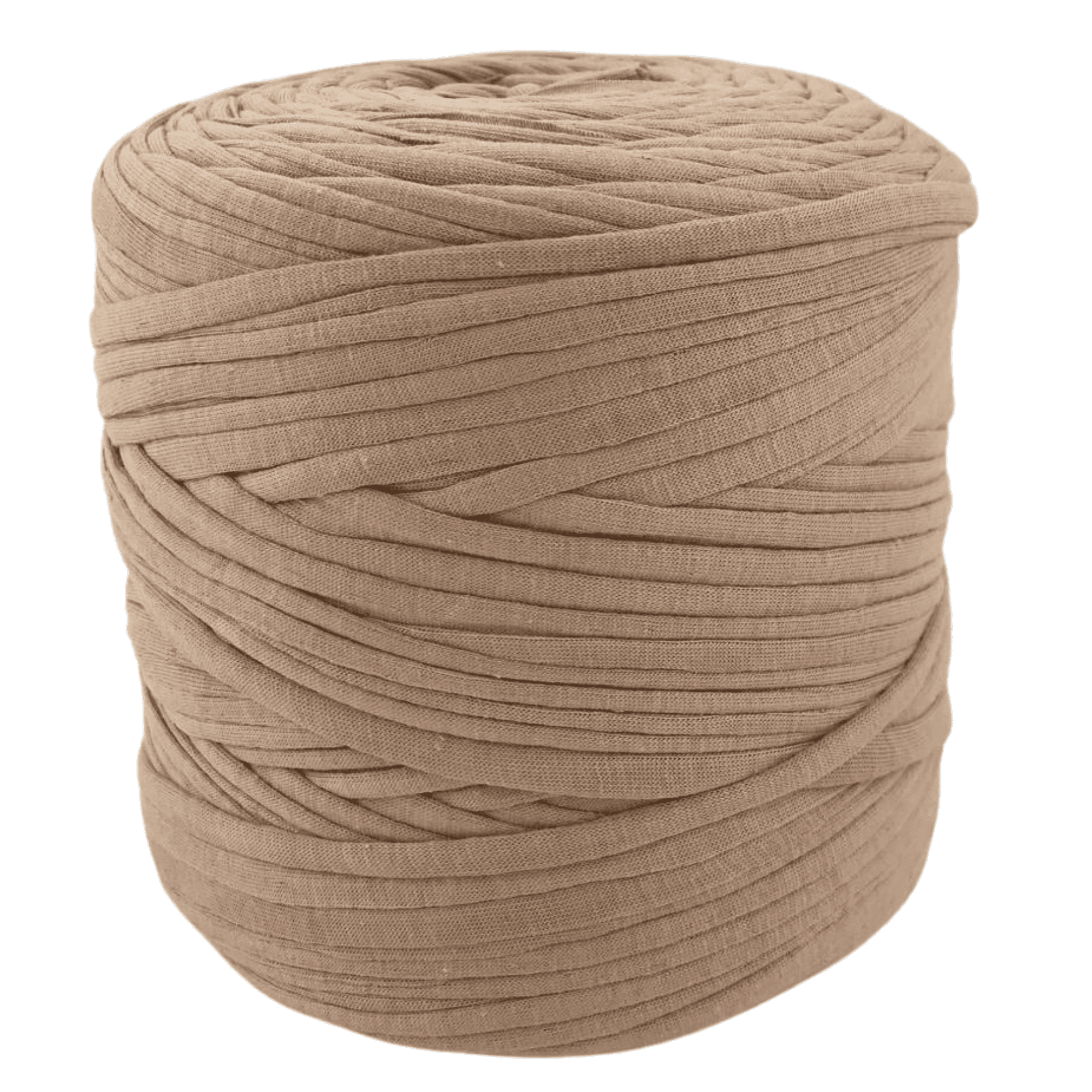 Camel 003