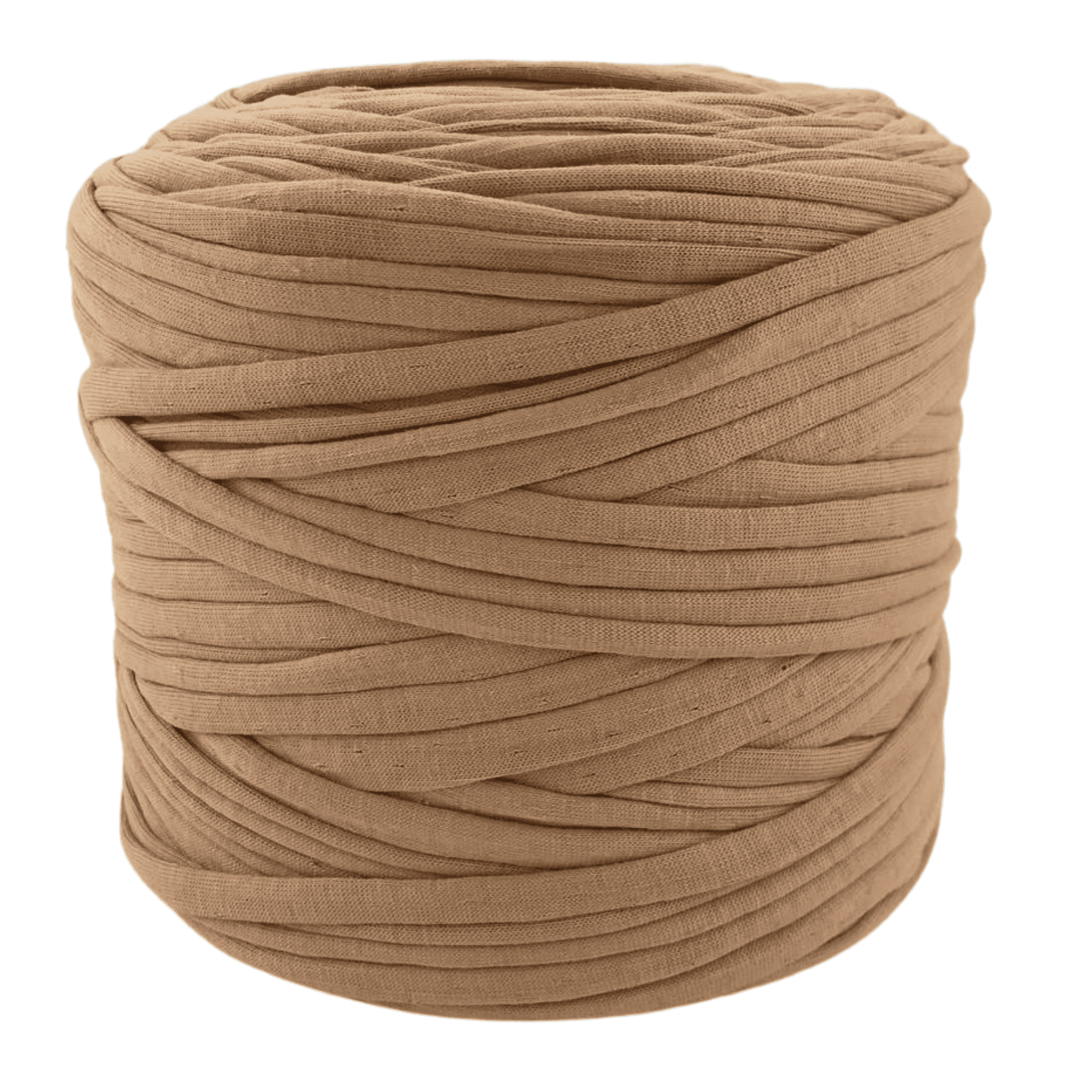 Camel 002
