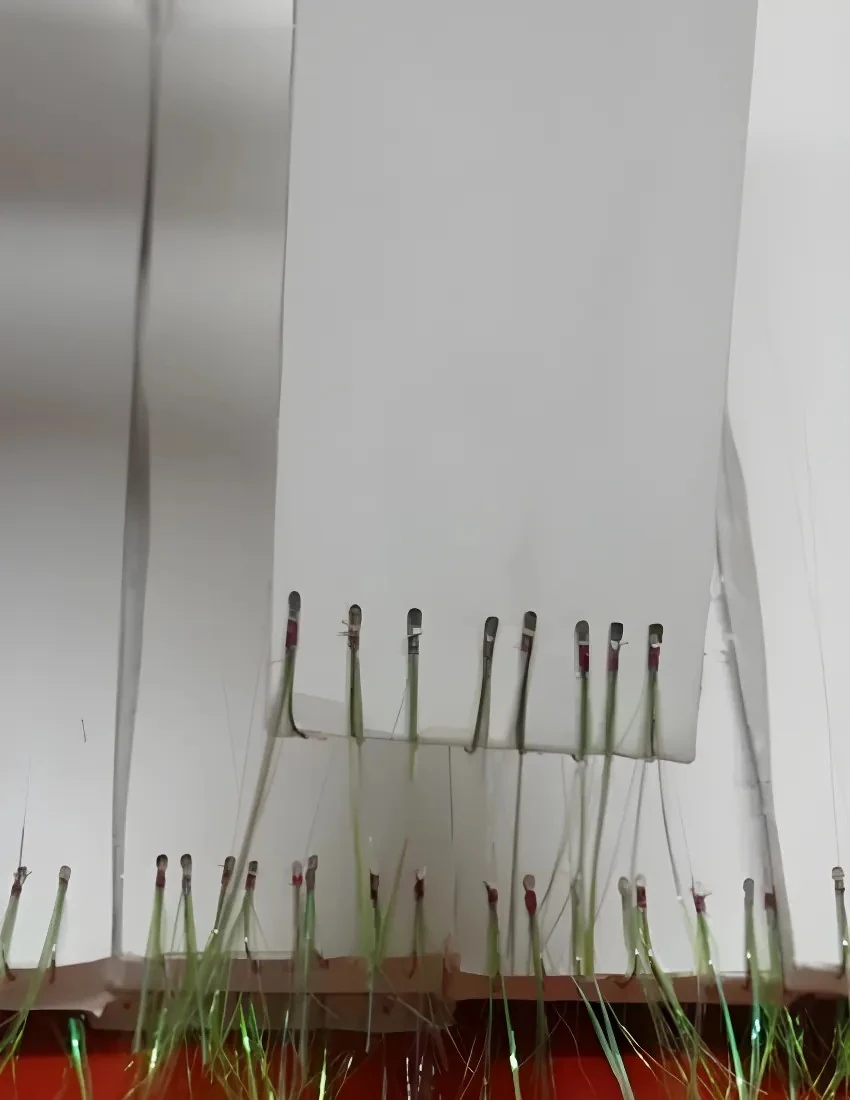 İstavrit Çaparisi 1210142023