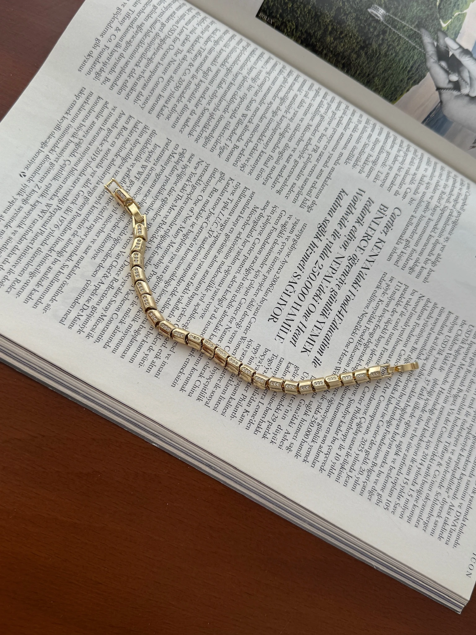 Vip 14K Yılan Künye