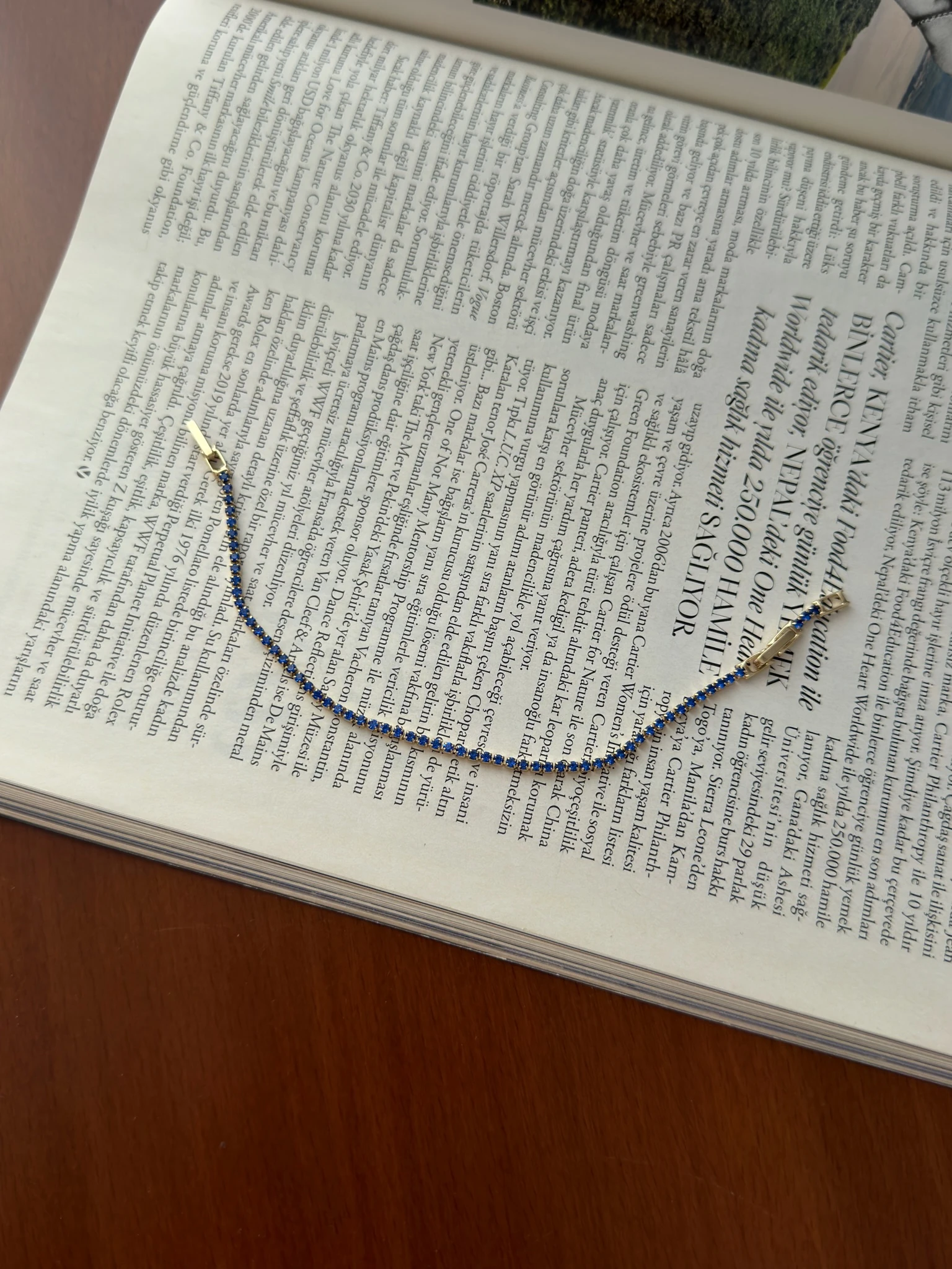 Vip 14K Lacivert İnce Suyolu Künye