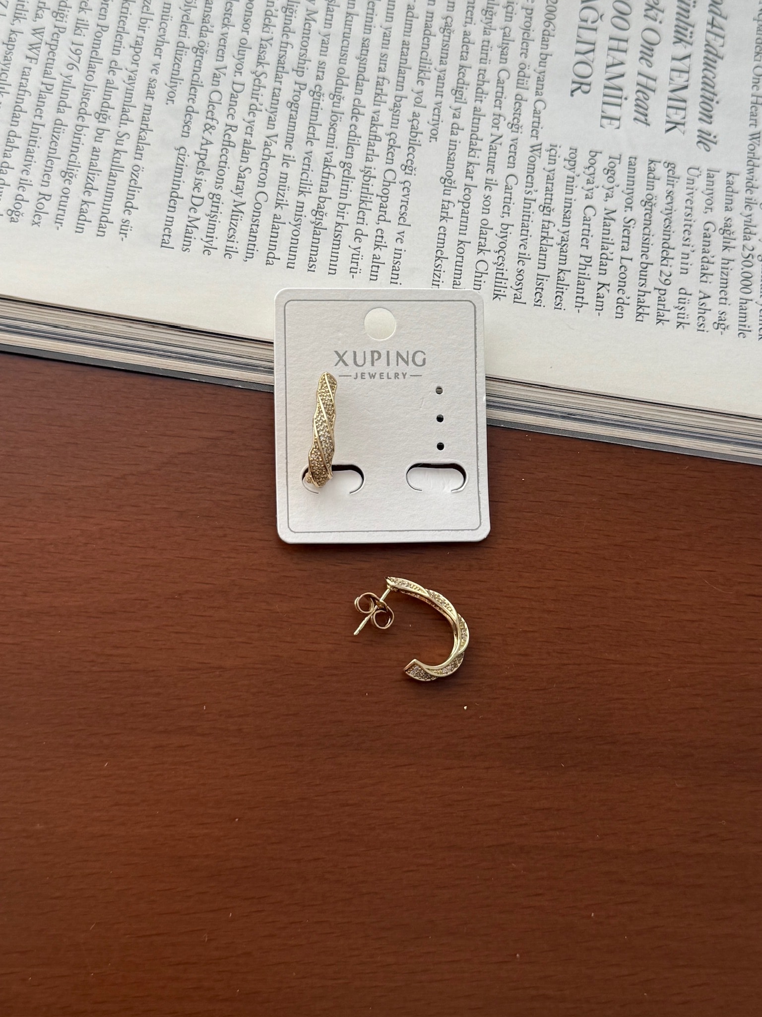Vip 14K Burgu Vida Detaylı Küpe