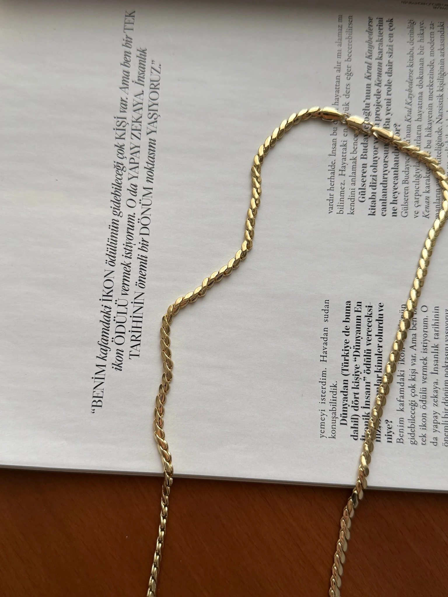 Vip 14K Uzun Örgü Kolye 