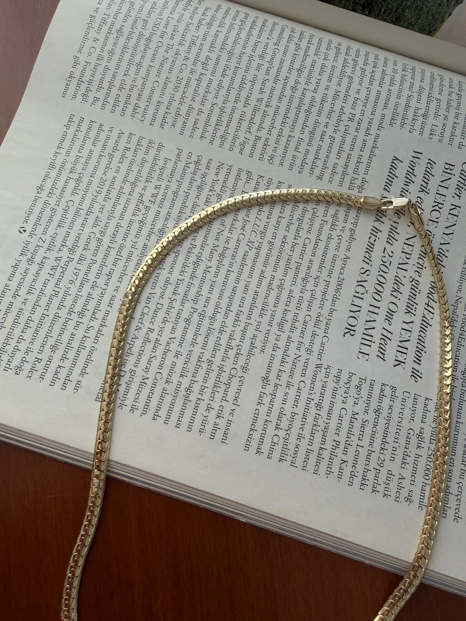 Vip 14K Kısa Hasır Kolye