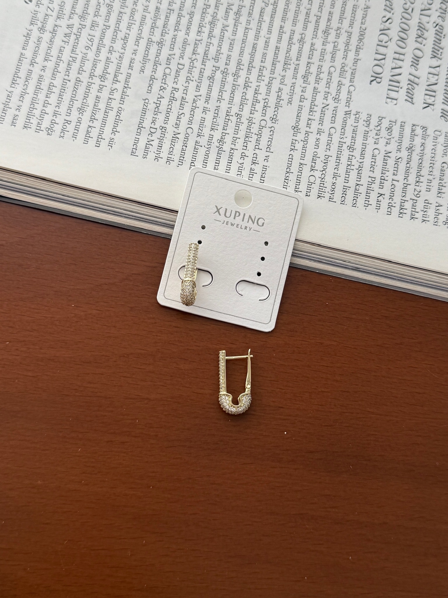 Vip 14K Çengel Küpe