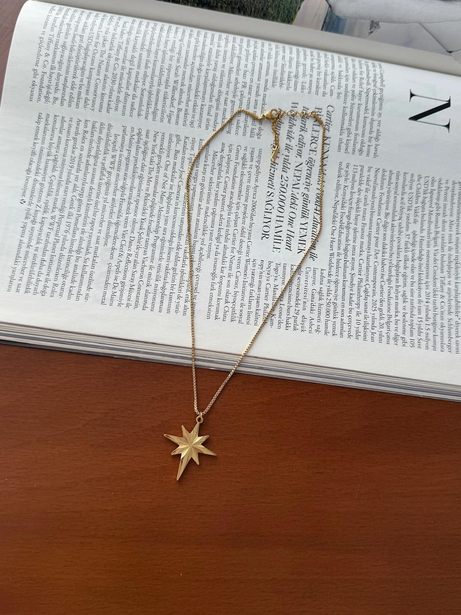 Çelik Kuyumcu Model Kuzeyyıldızı Kolye