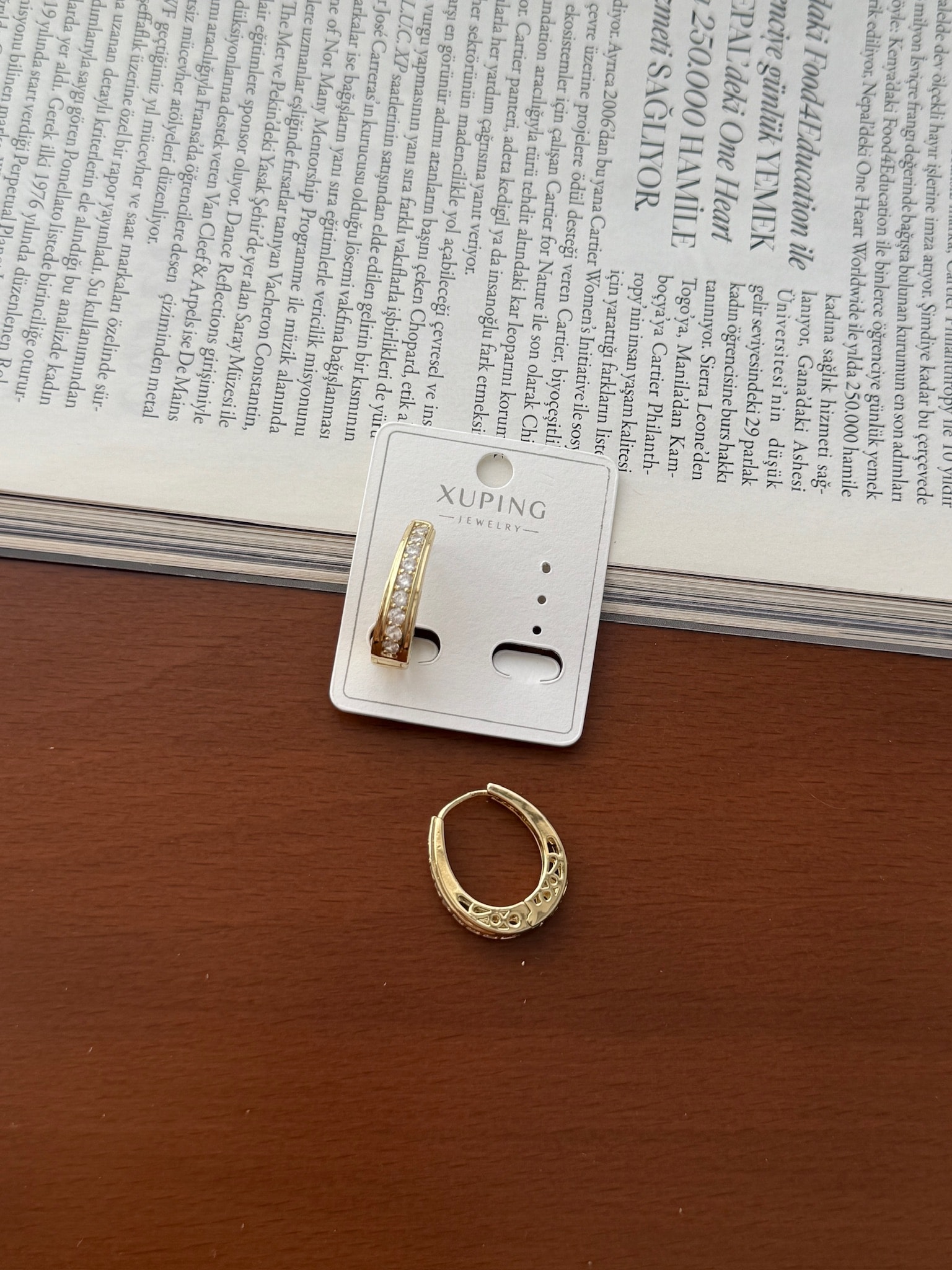 Vip 14K Oval Suyolu Küpe