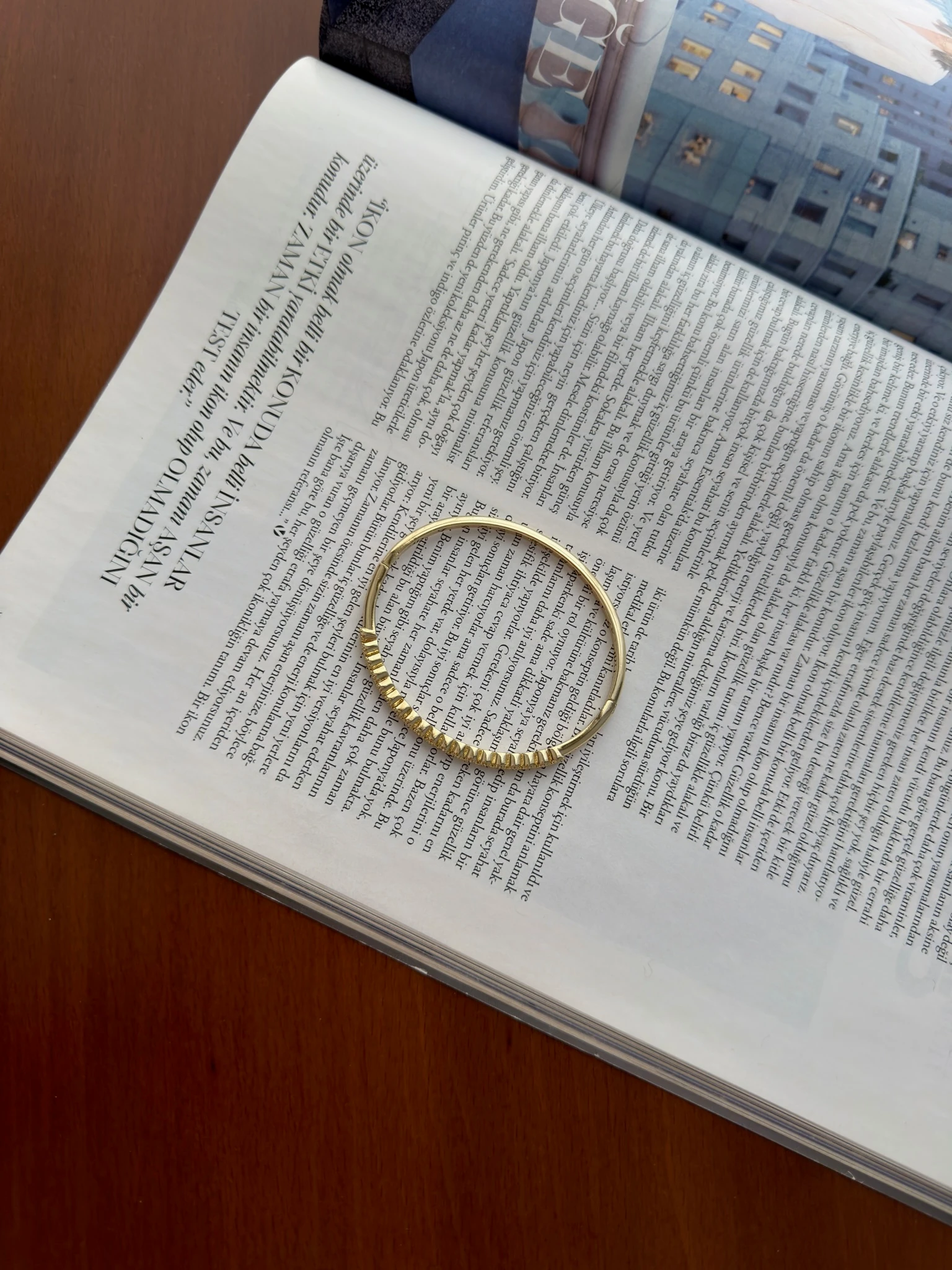 Vip 14K Yuvarlak Suyolu Kelepçe