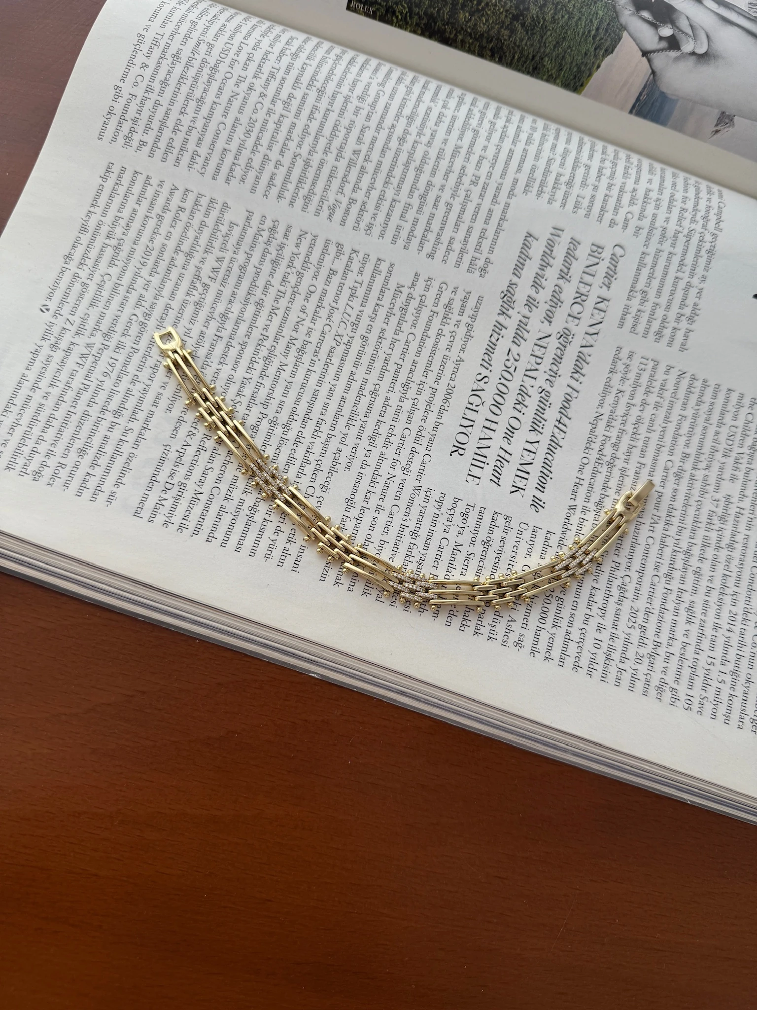 Vip 14K Kaburga Taşlı Hasır Künye