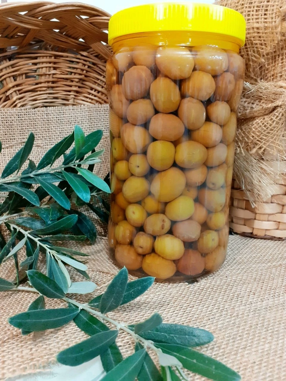 Gemlik Çizik Yeşil Zeytin - 1 Kg