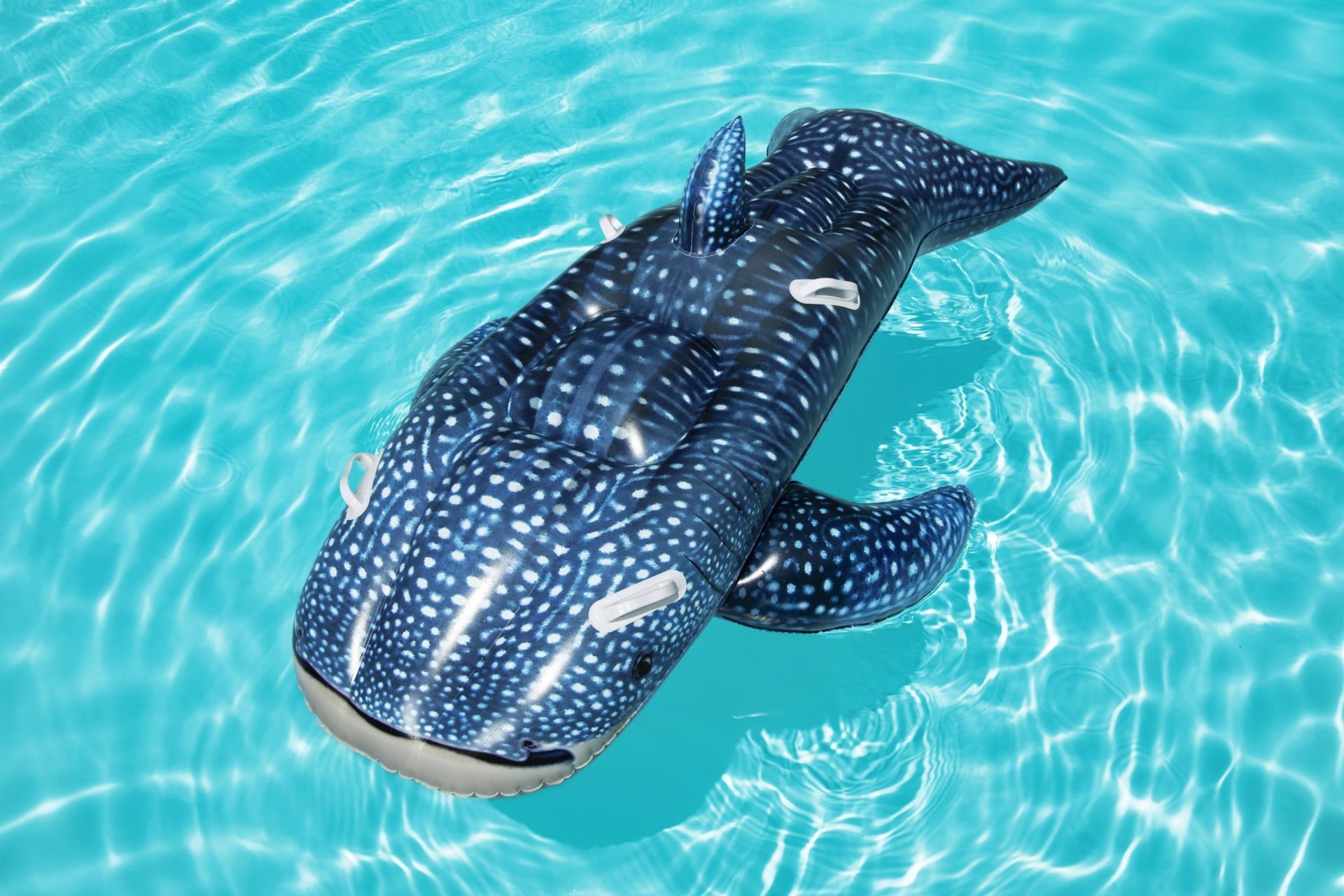 KZL-BW41482 RIDING BLUE WHALE 193X122CM 4