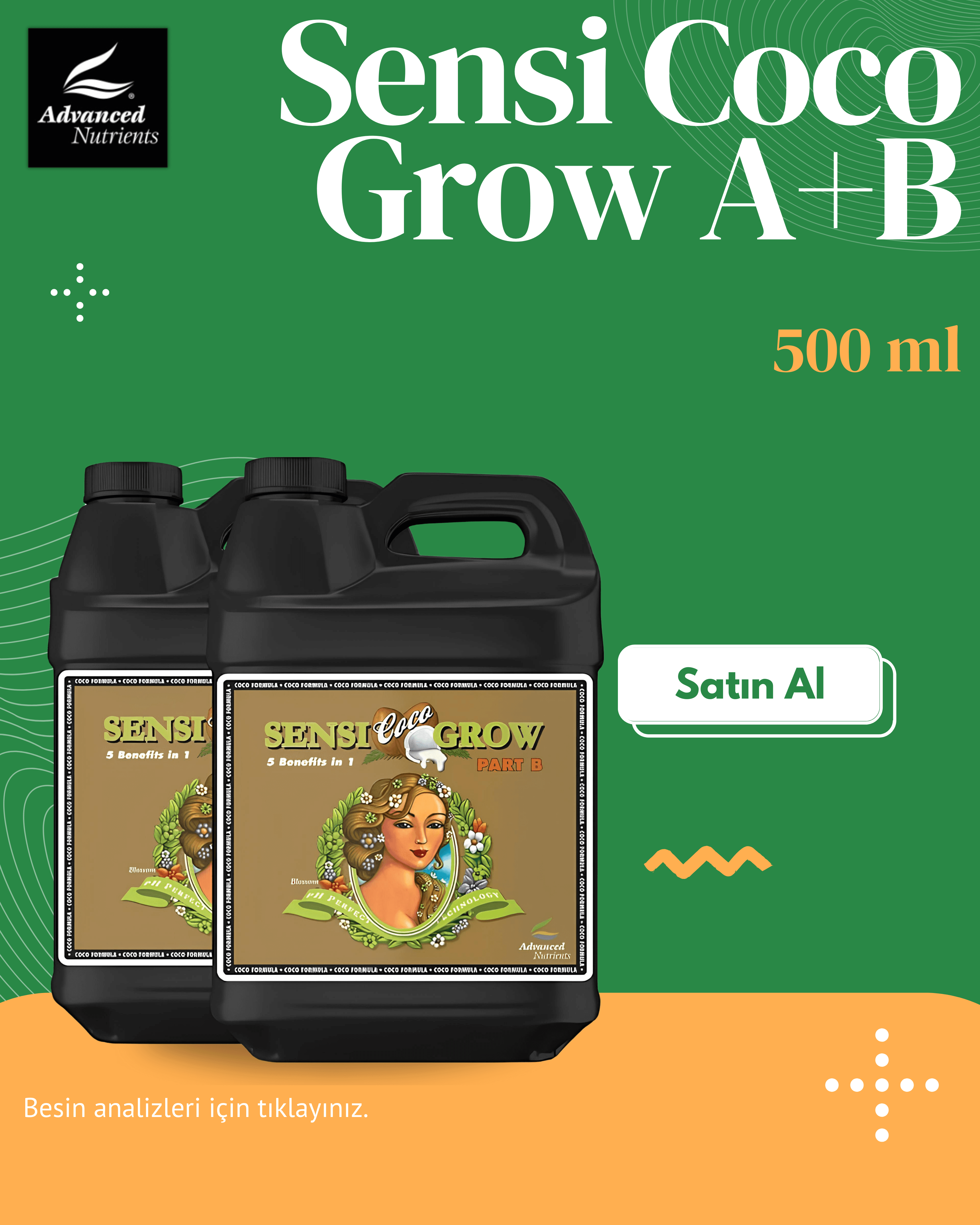 ph Perfect Sensi Coco Grow AB 2X 500 mL