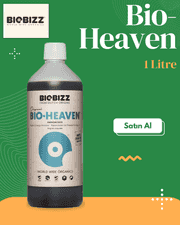 Bio