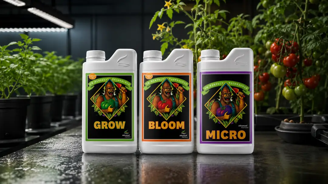 Advanced Nutrients pH Perfect Grow Micro Bloom Nedir? 3'lü Bitki