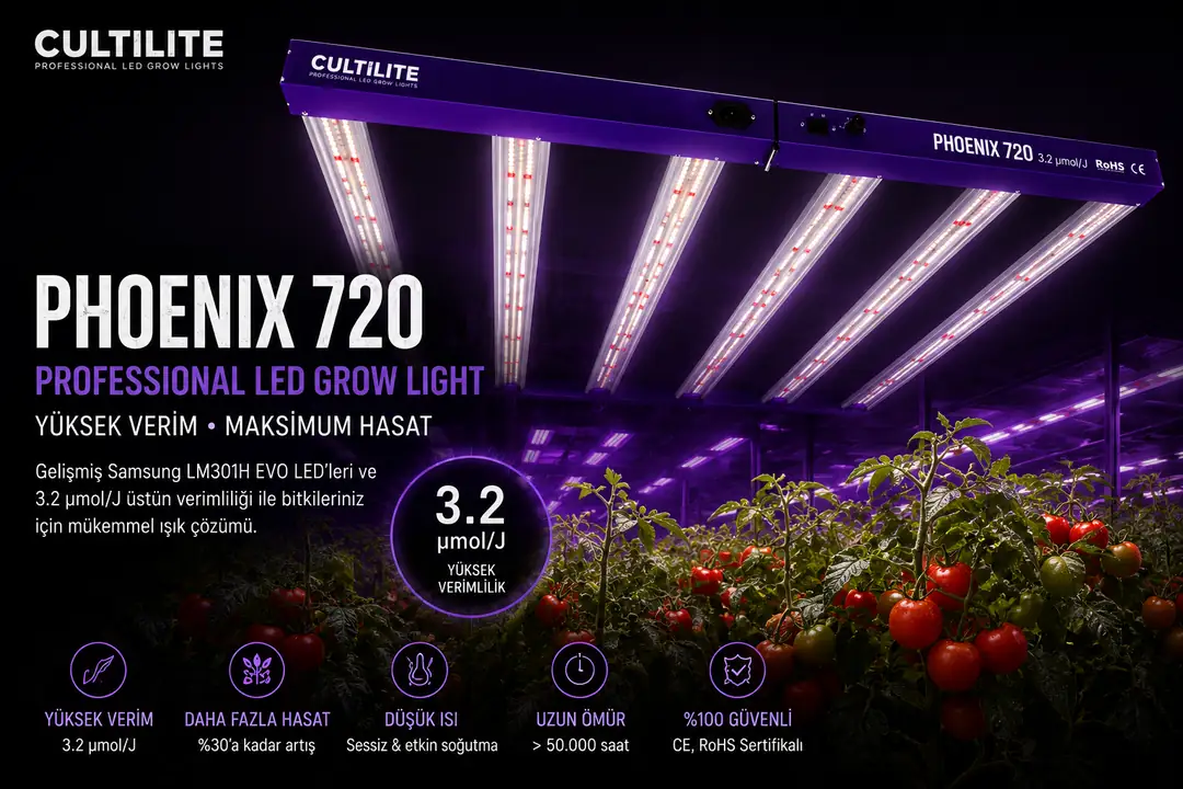 Plant Grow Lights