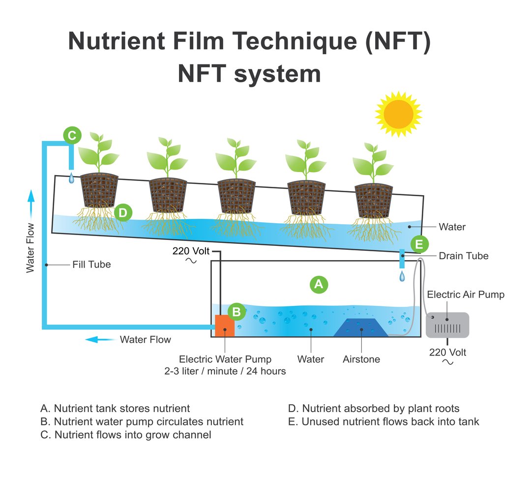 Nutrient Film Technique (NFT) hidroponik sistem şeması. Besin çözeltisinin su pompası ile depodan bitki köklerine iletilmesi, kökler tarafından emilmesi ve kullanılmayan besinin tekrar depoya geri dönmesi sürecini gösteren görsel.