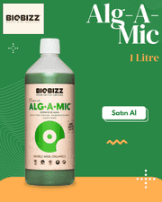 Alg-A-Mic