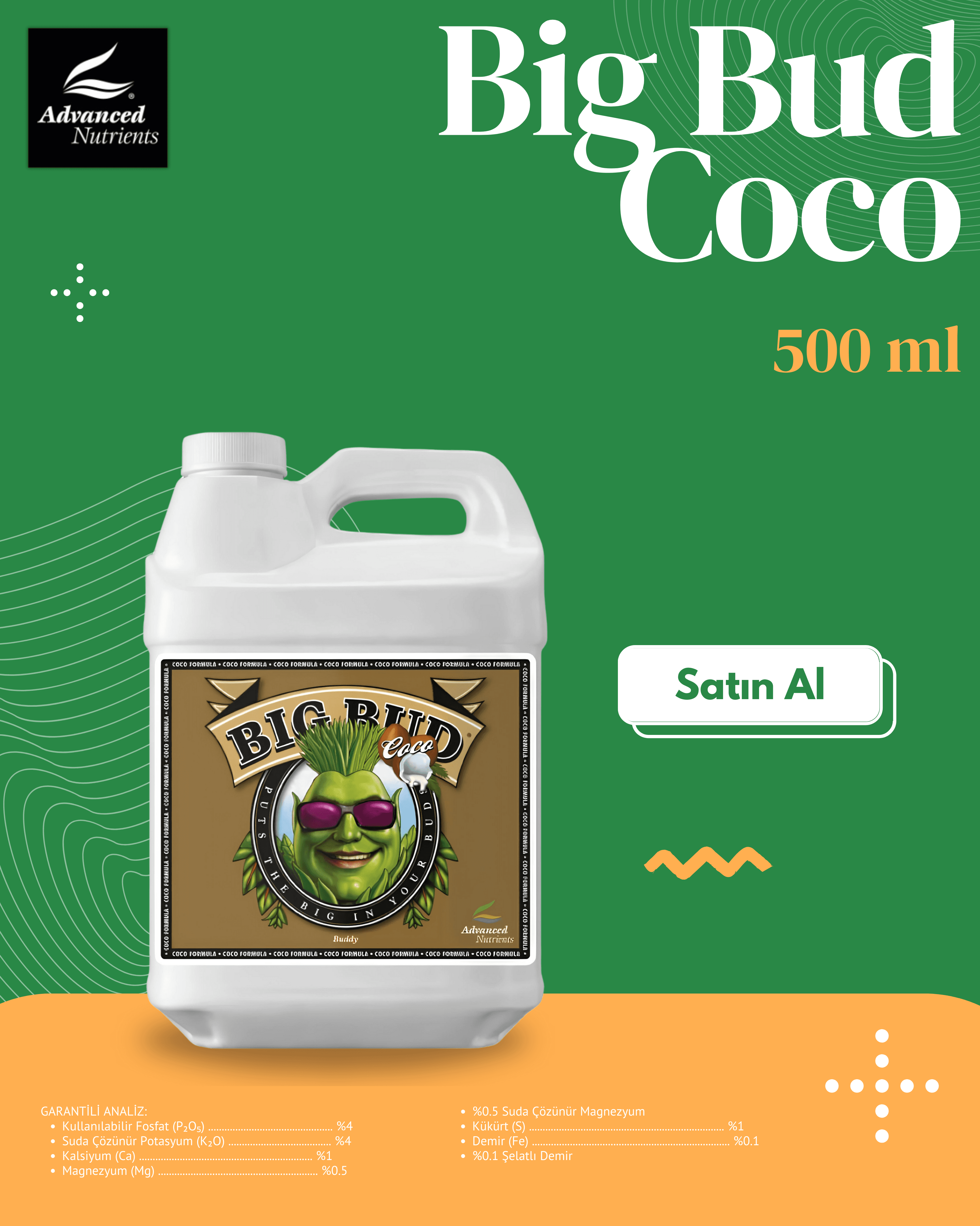 Big Bud Coco 500 ML