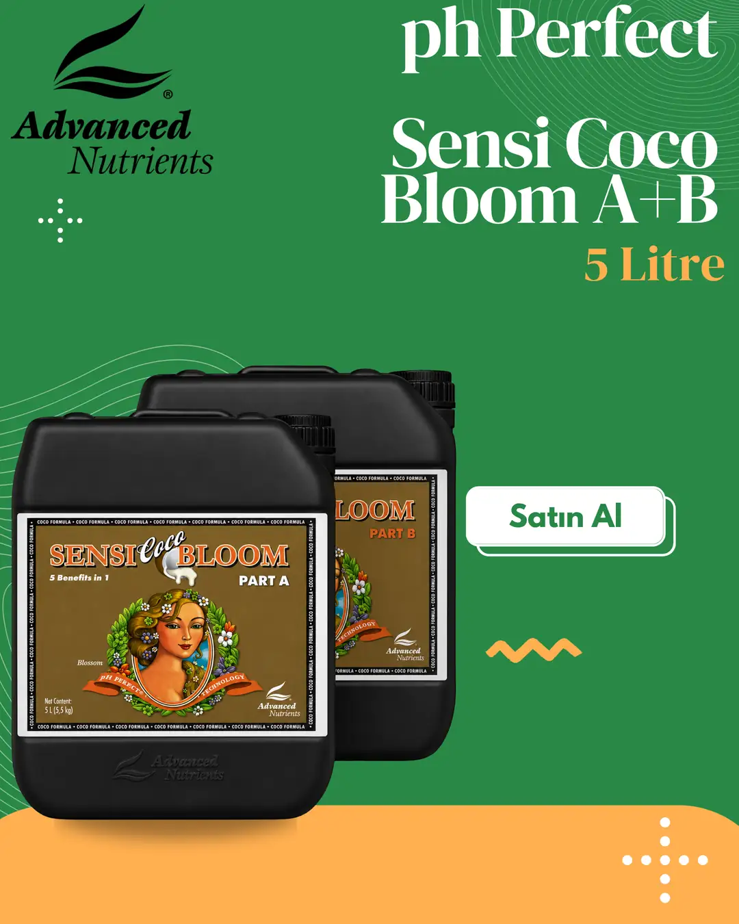 ph-perfect-sensi-coco-bloom-ab