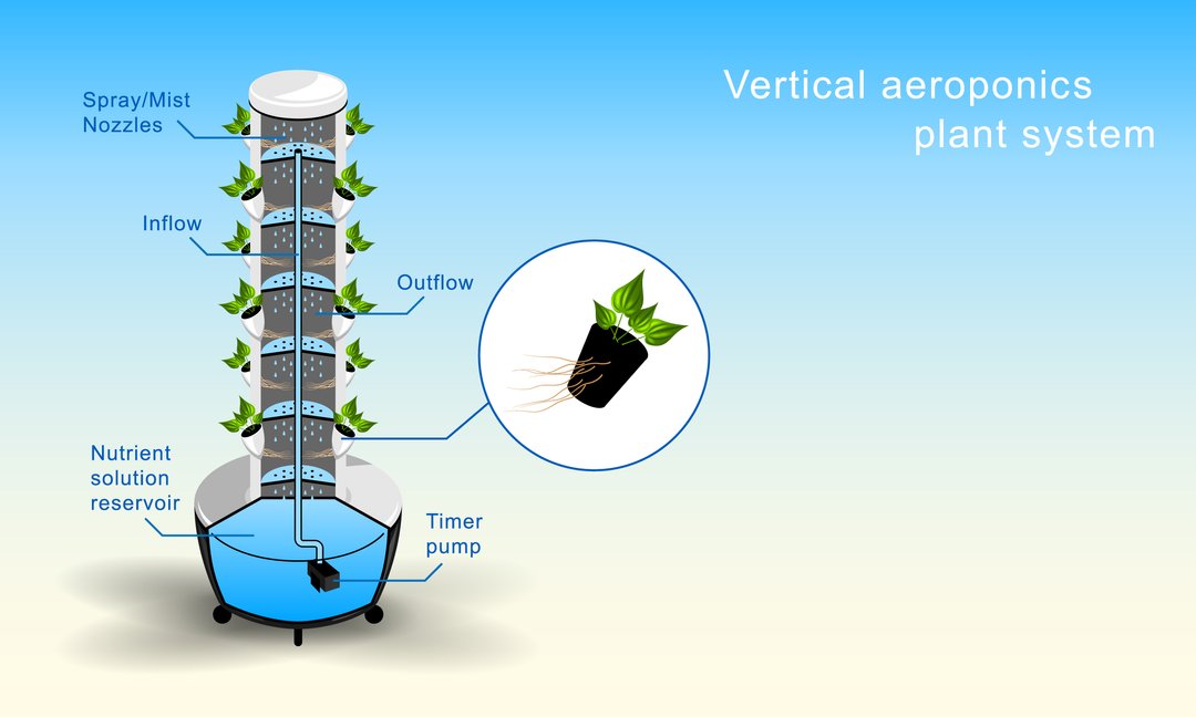 Vertical aeroponics bitki sistemi şeması. Besin çözeltisi alt kısımdaki tankta depolanır, zaman ayarlı pompa ile yukarıya gönderilir ve nozüller aracılığıyla köklere ince sis/mist halinde püskürtülür. Bitkiler köklerini havada asılı şekilde besin çözeltisinden alır, fazla sıvı yeniden depoya geri döner