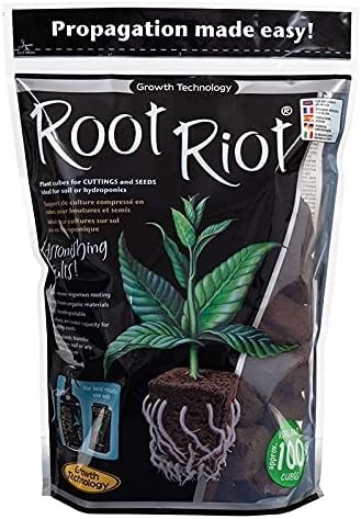 Root Riot 100lü Ekim Viyolü