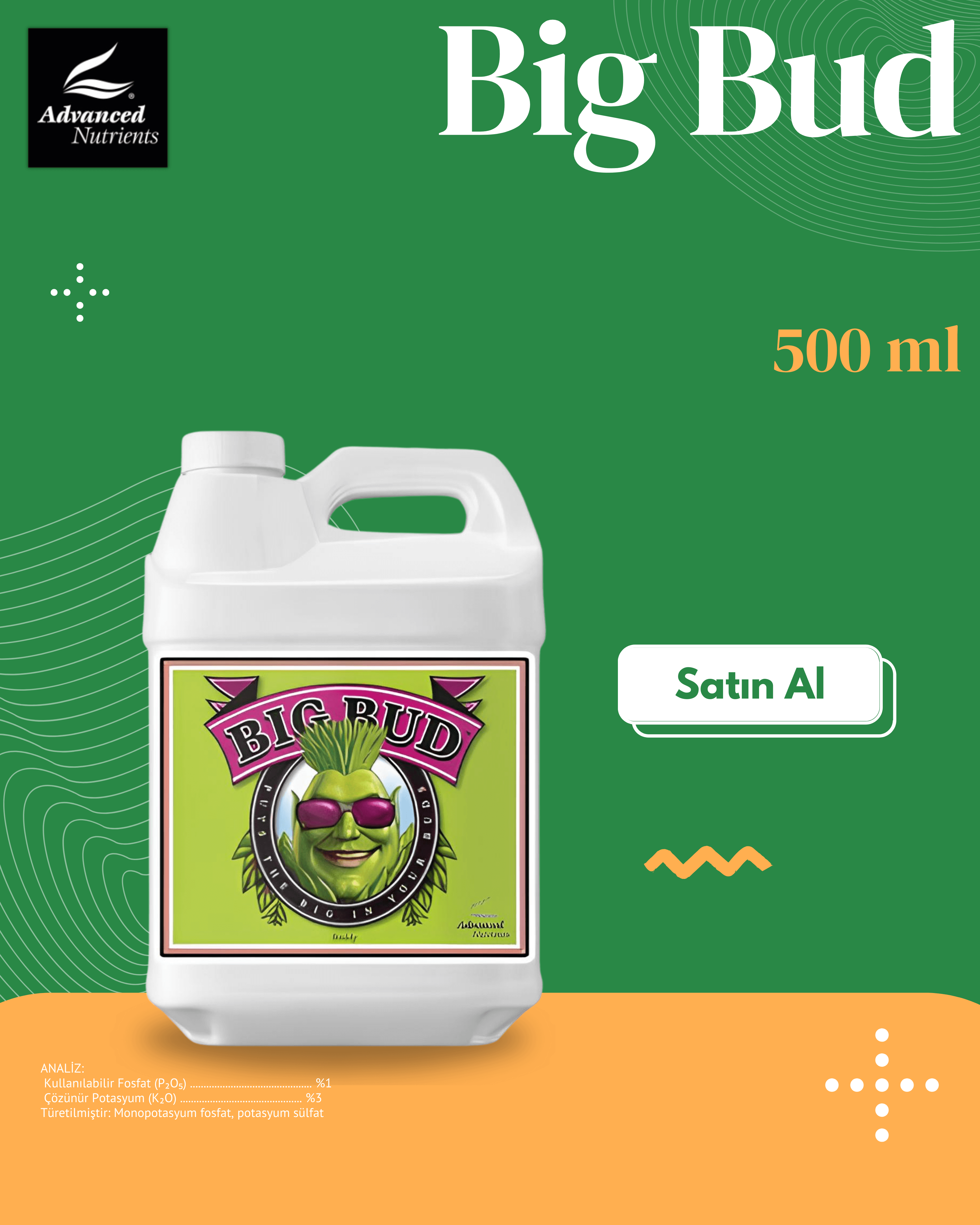 Big Bud 500 ML