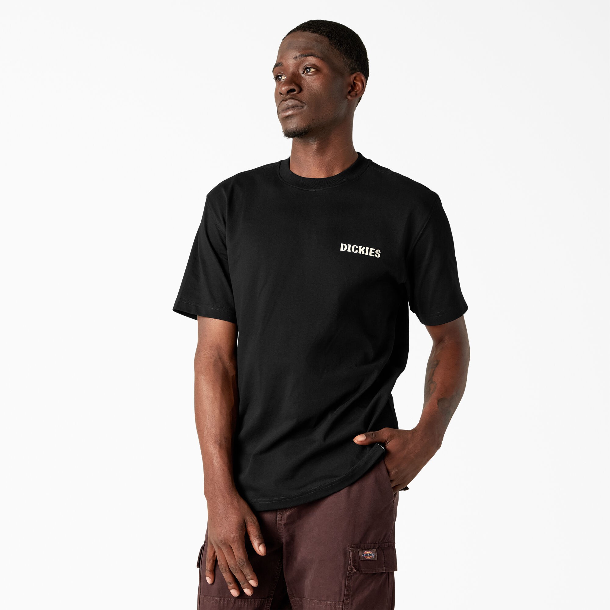 Dickies Always Shine Tee - Siyah