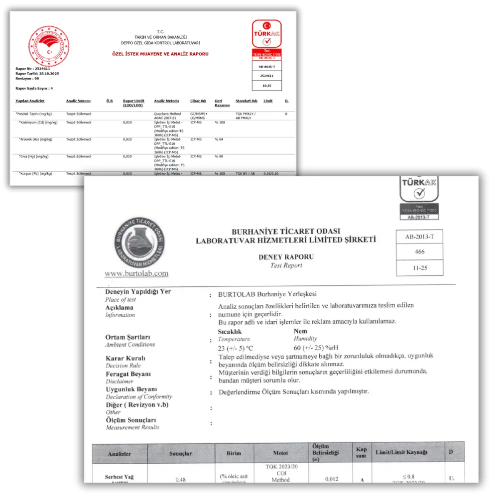 Edega Sertifikasyon