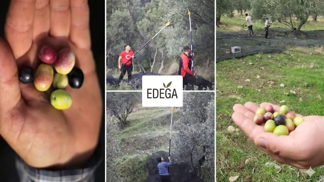 EDEGA Hasat Mühendisliği