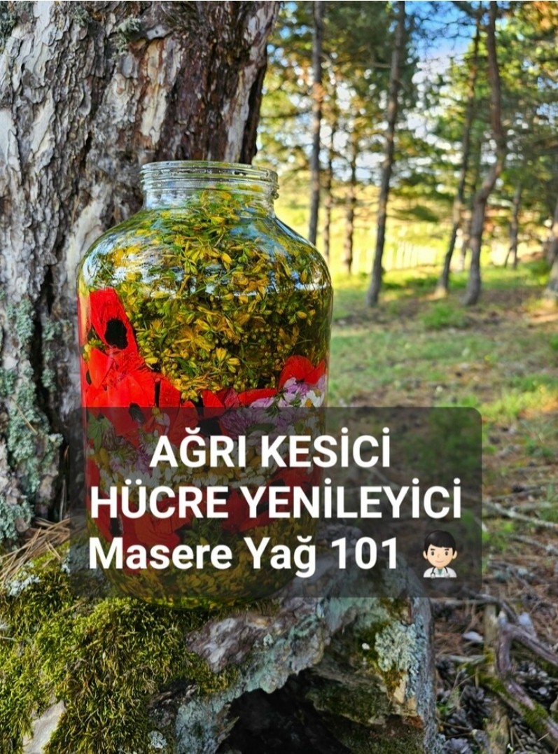 4'lü Karışım Kantaron Yağı "Sıradan kantoronları unutun, bu arkadaş zaten unutmanıza yardımcı olacaktır"