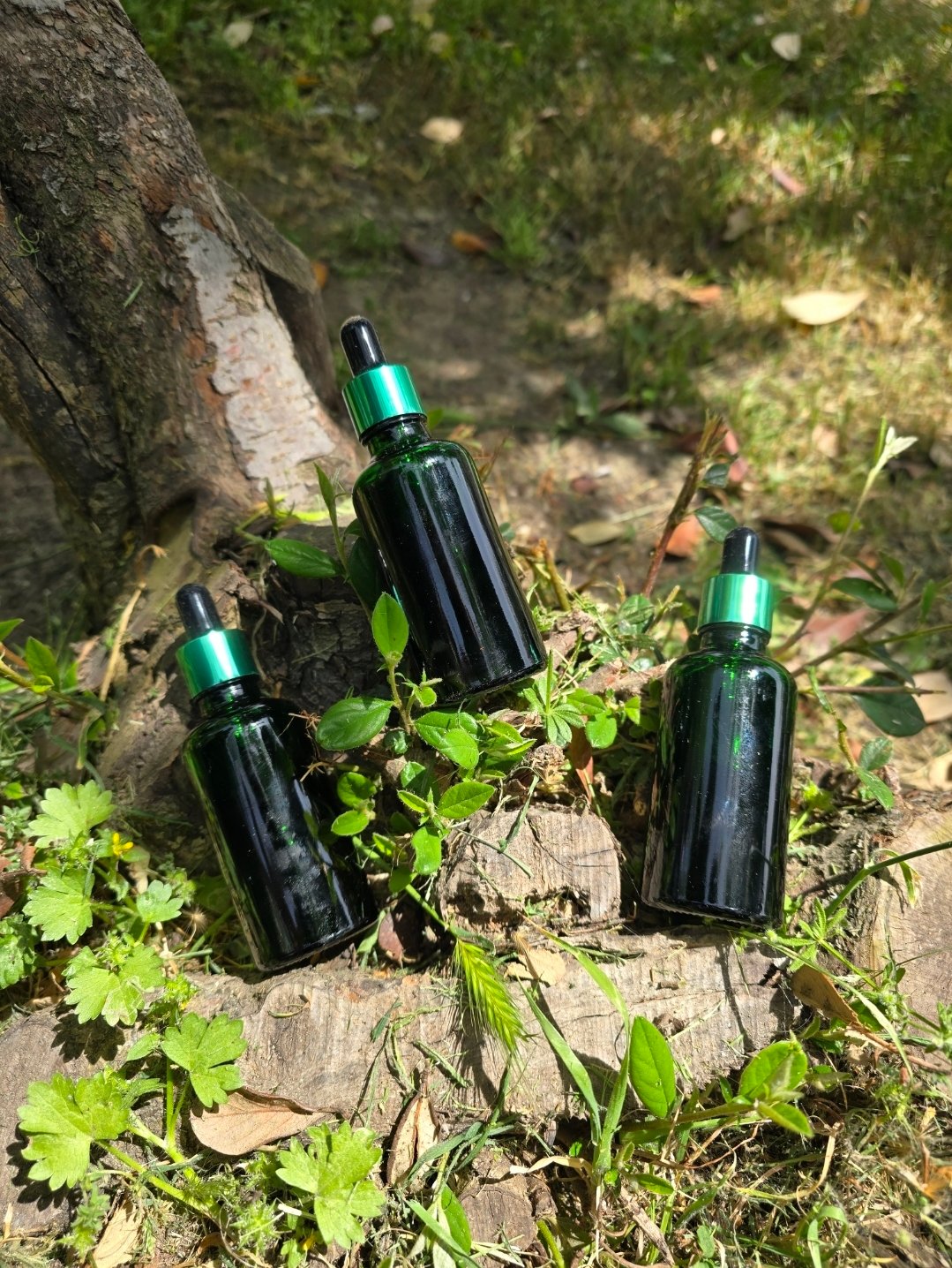 OR-MAN Kara İksir Mumiyo (Shilajit İçerikli Sıvı Ekstrakt)