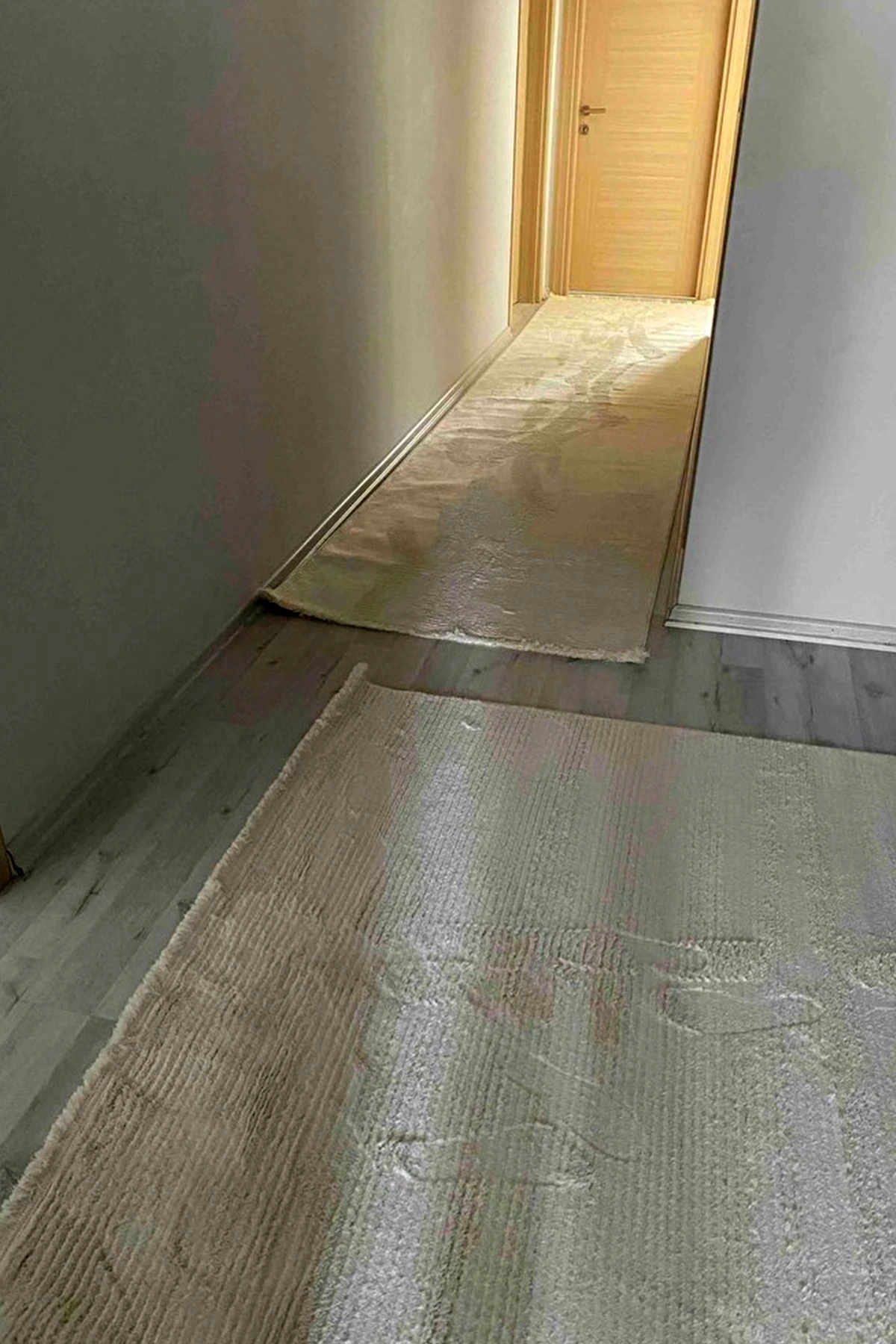 Solvia 3609 Krem - Salon, Koridor (Yolluk), Mutfak, Antre, Yatak ve Oturma Odası Halısı