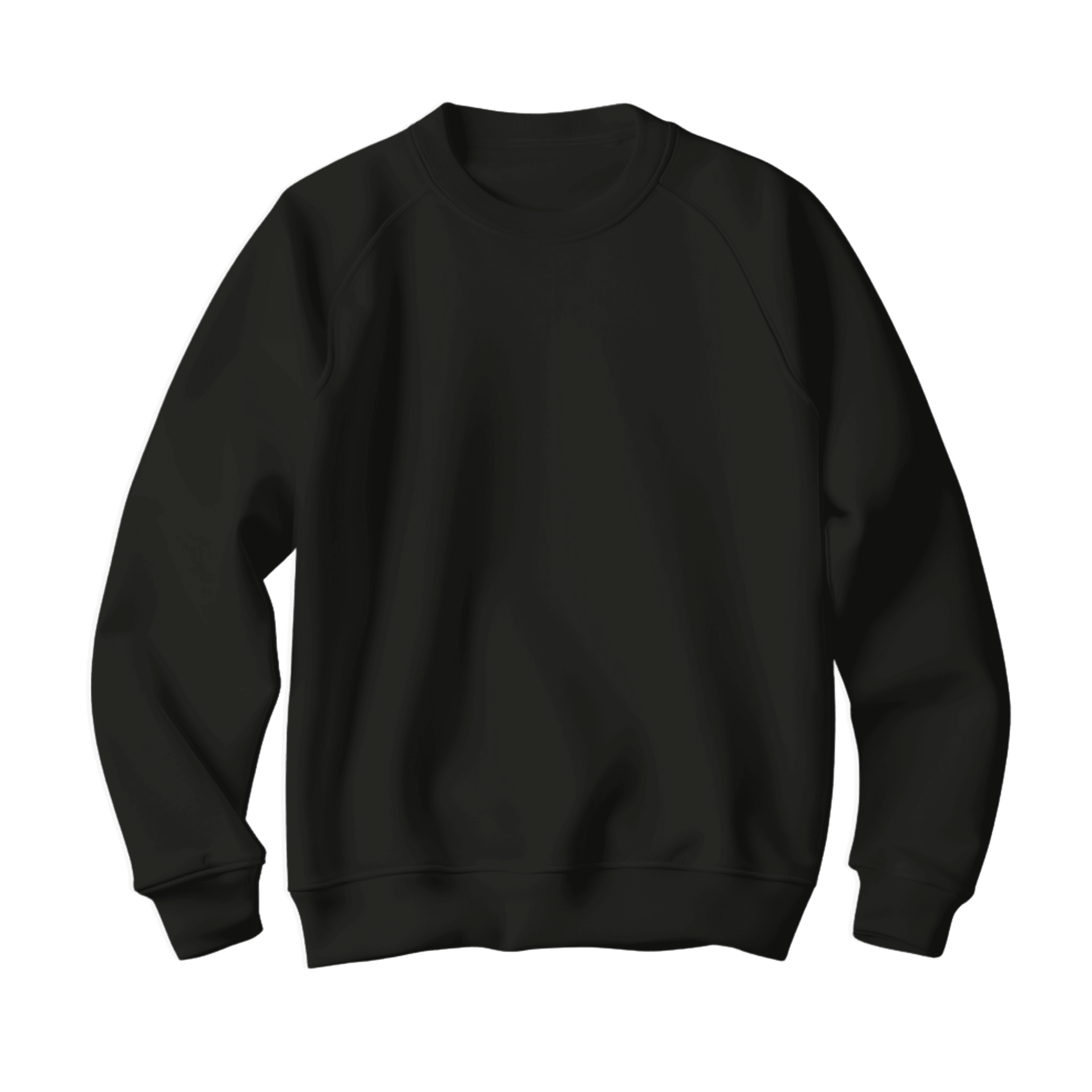 Siyah Basic Regular Sweatshirt