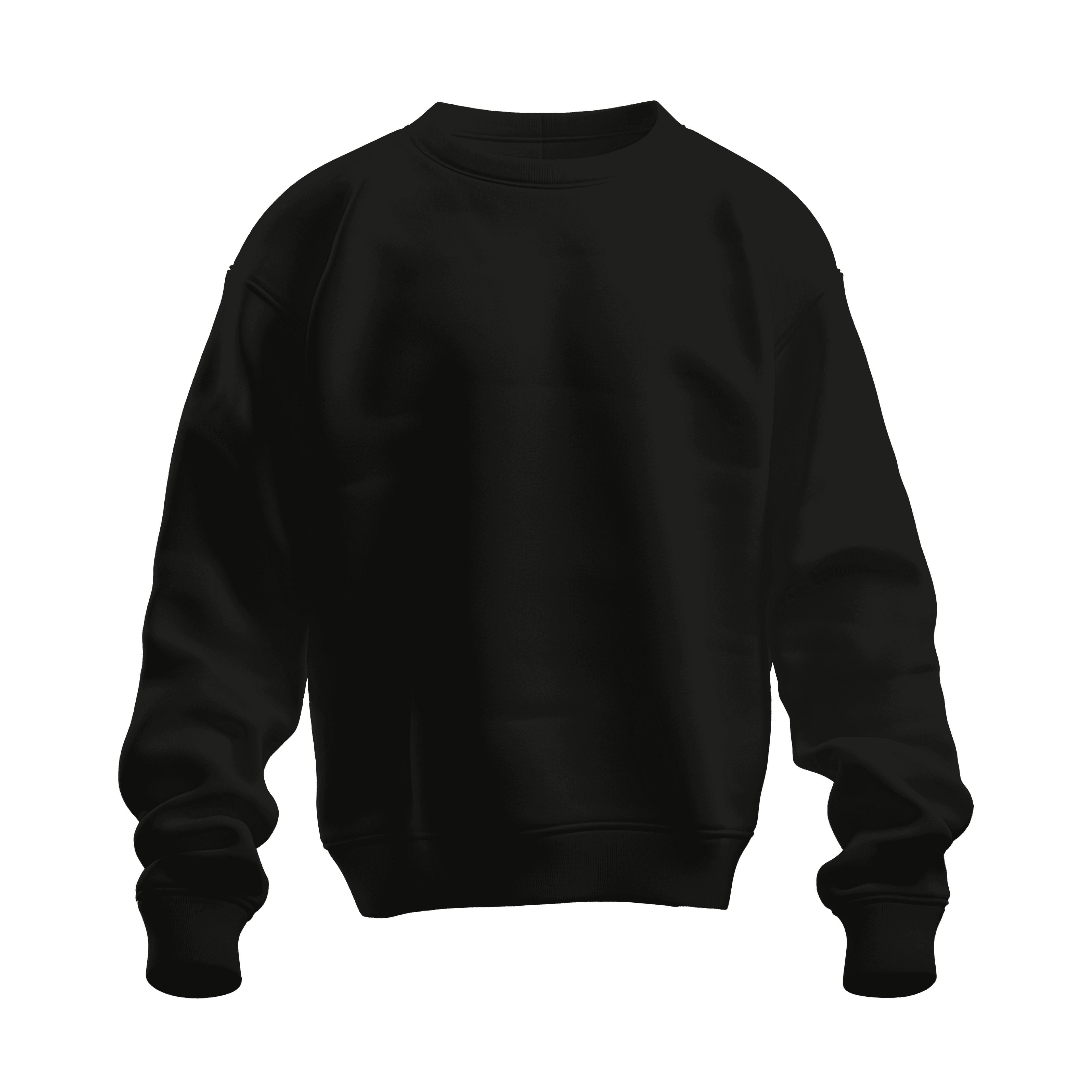 Siyah Basic Regular Sweatshirt