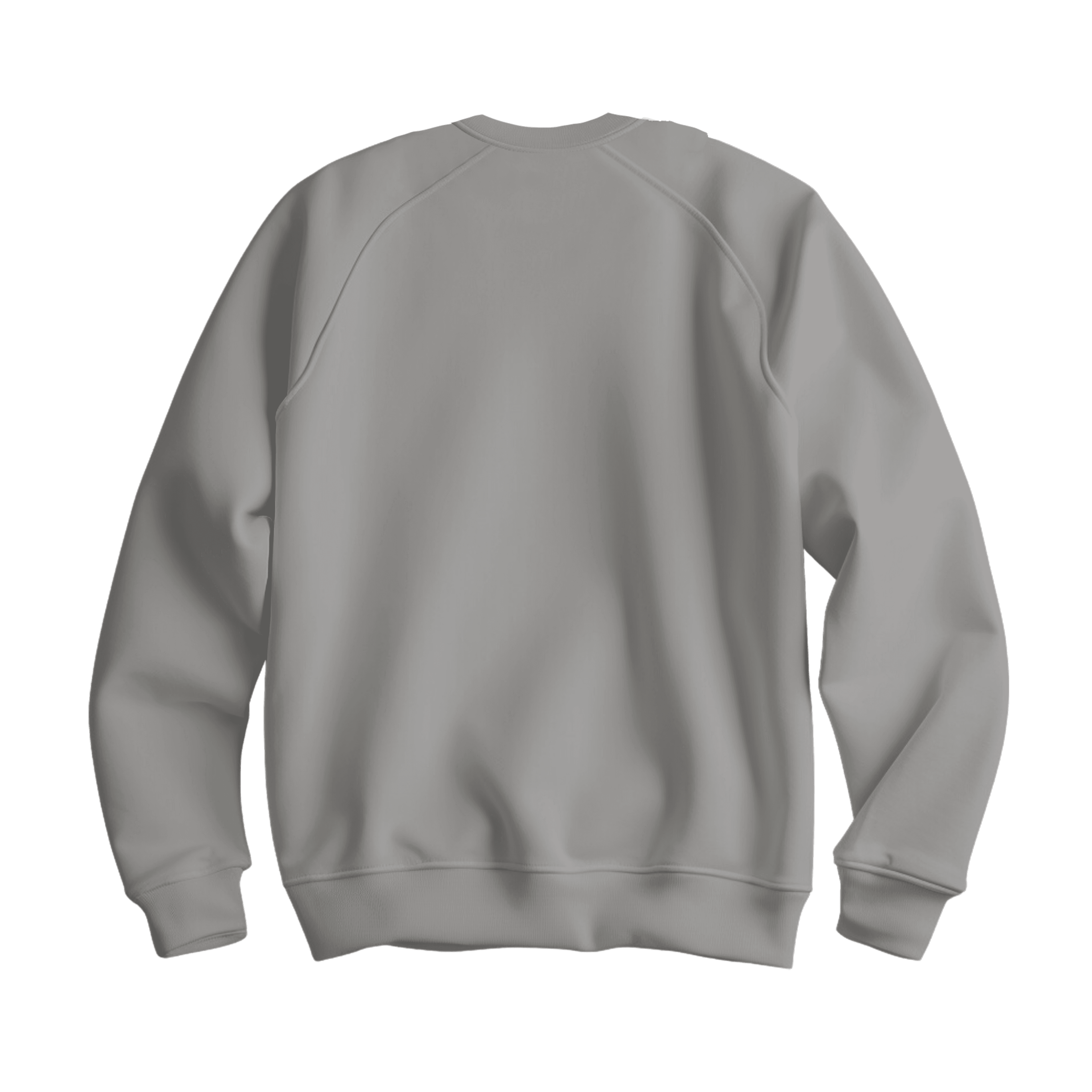 Gri Basic Regular Sweatshirt