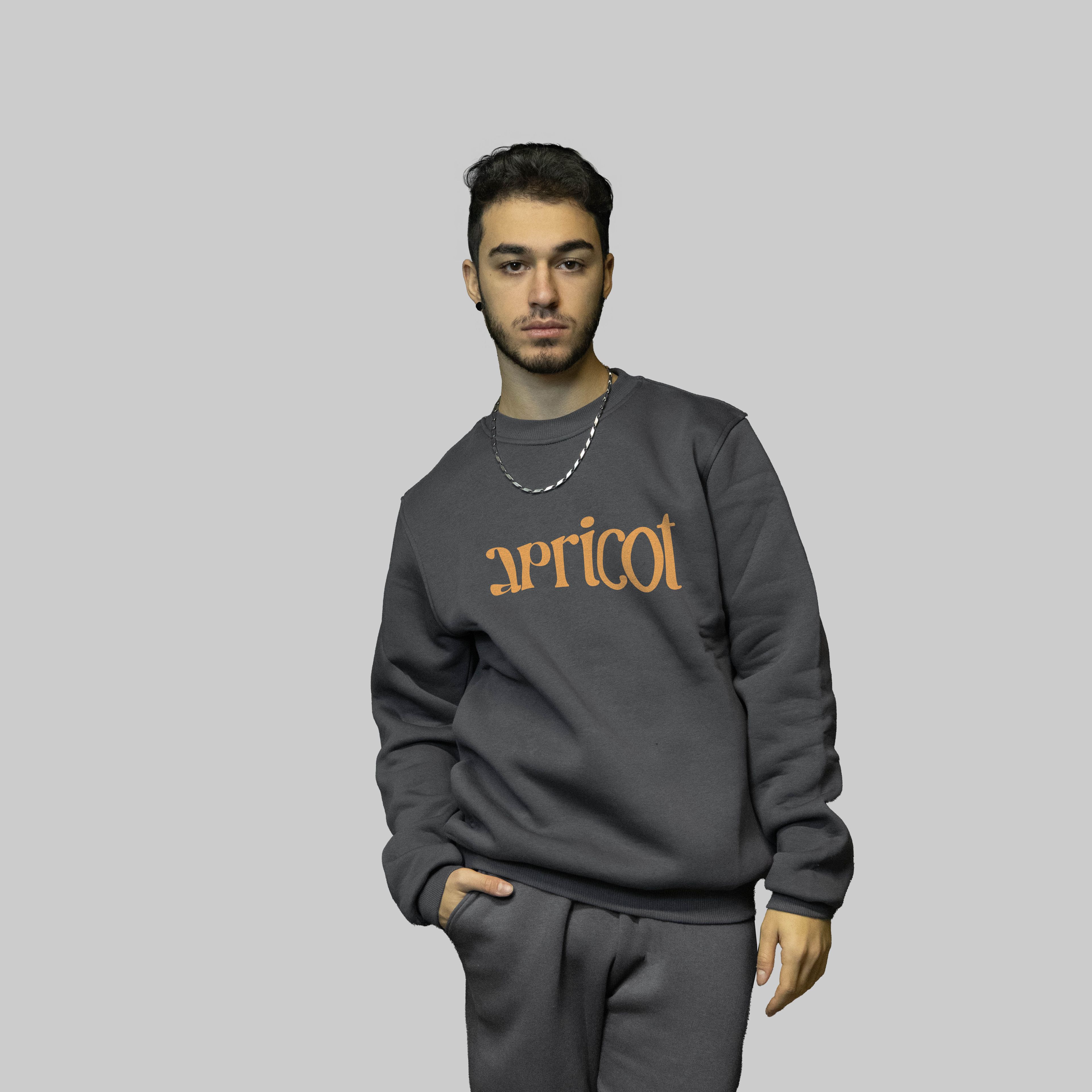 Apricot Sweatshirt - Antrasit