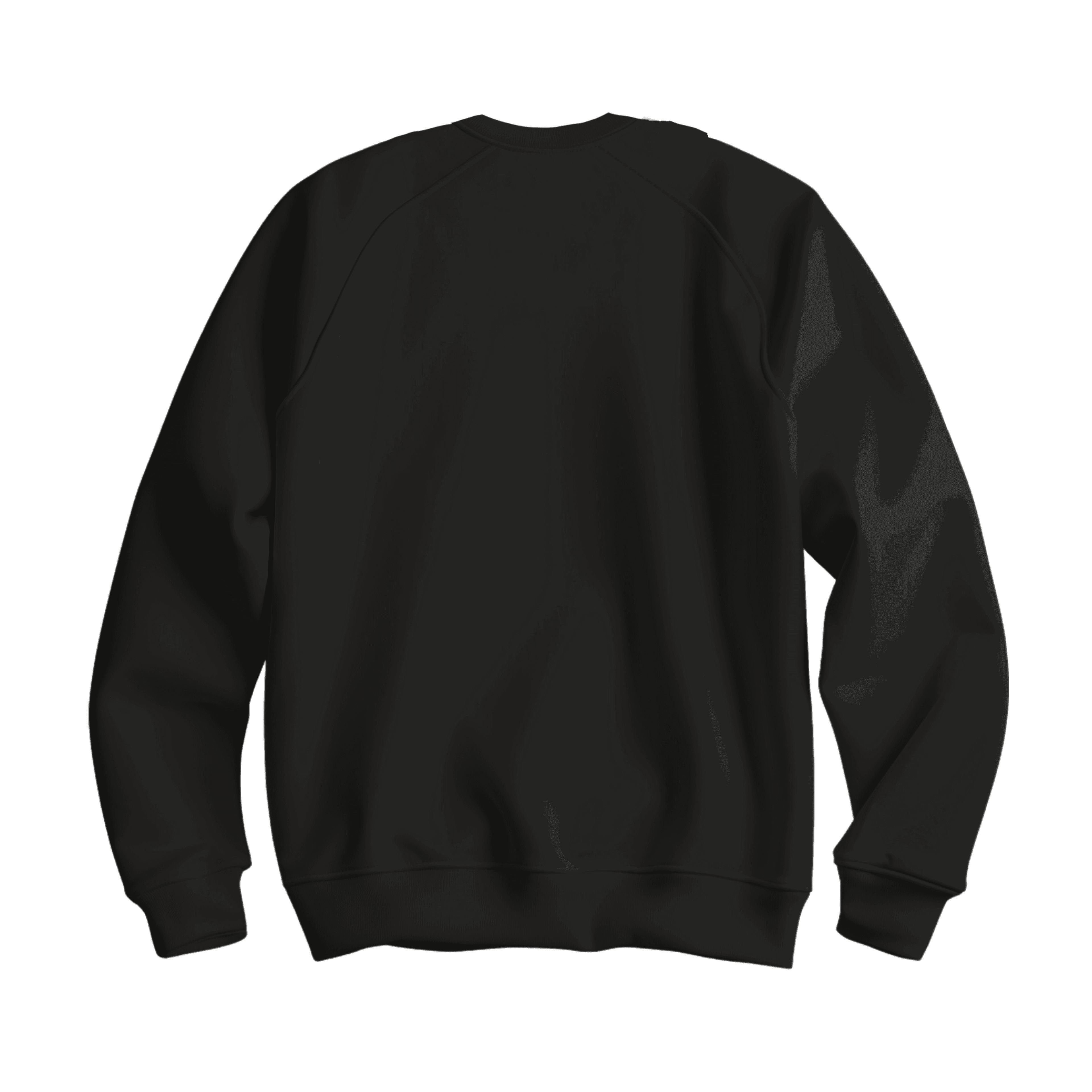 Siyah Basic Regular Sweatshirt