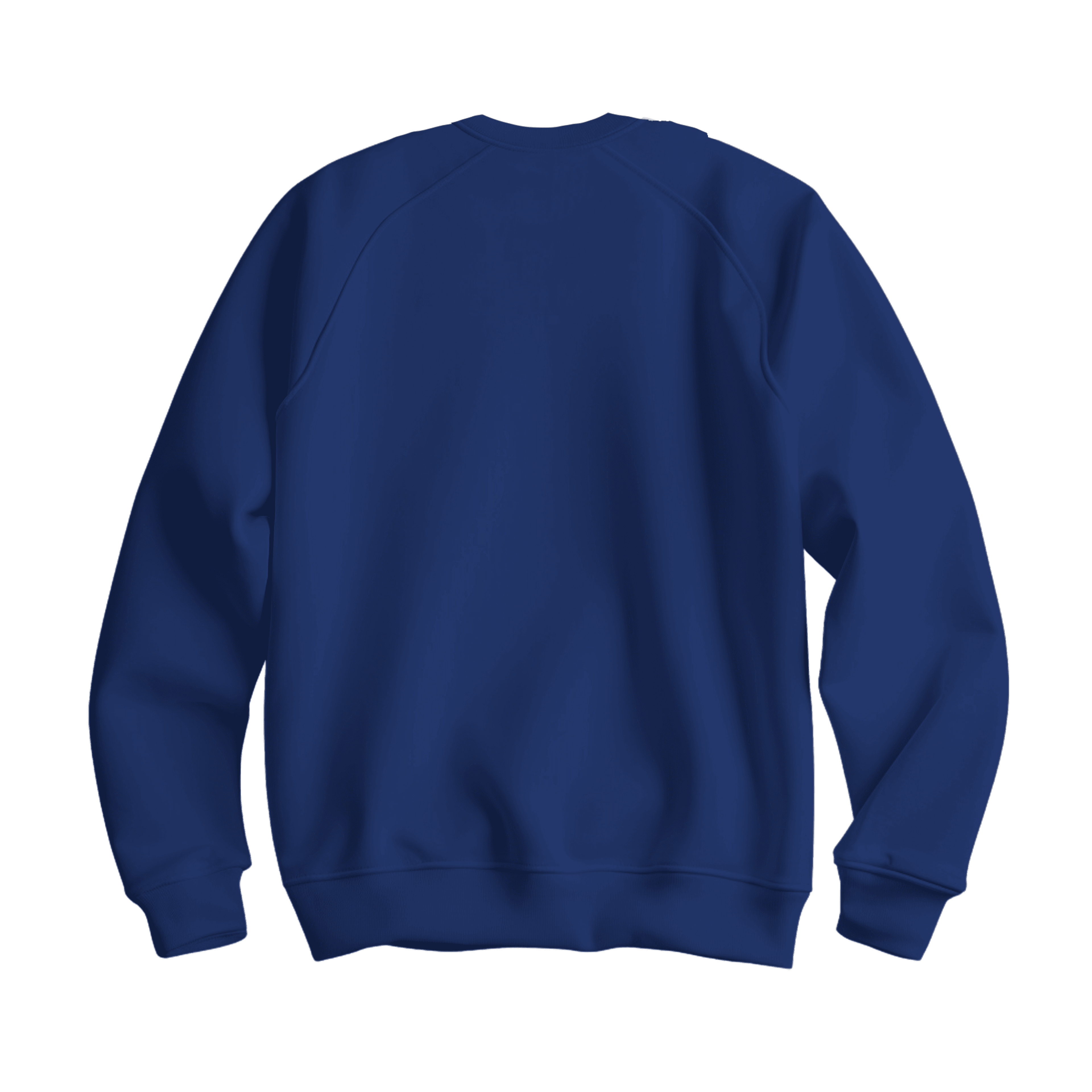 Lacivert Basic Regular Sweatshirt