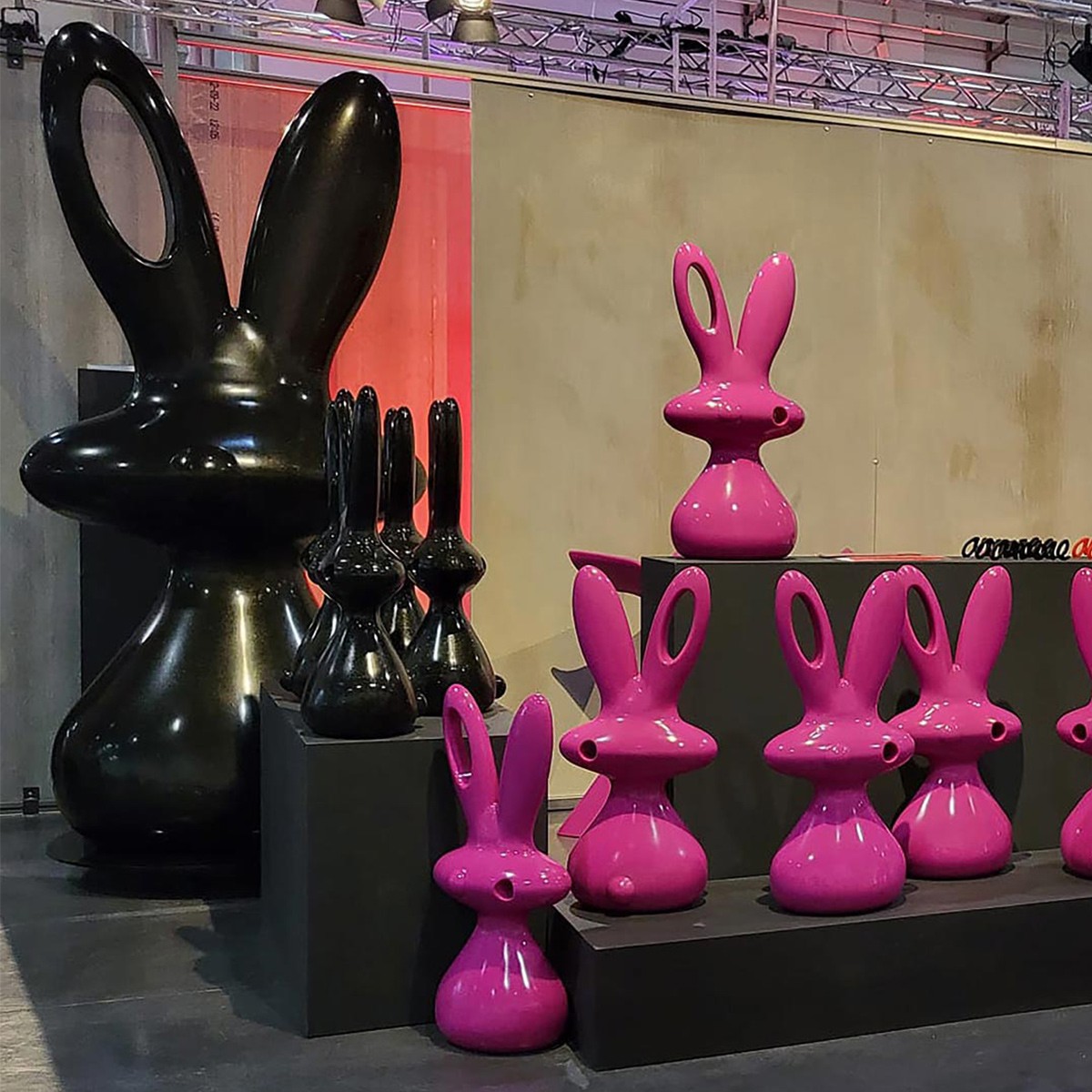 Cosmo Bunny