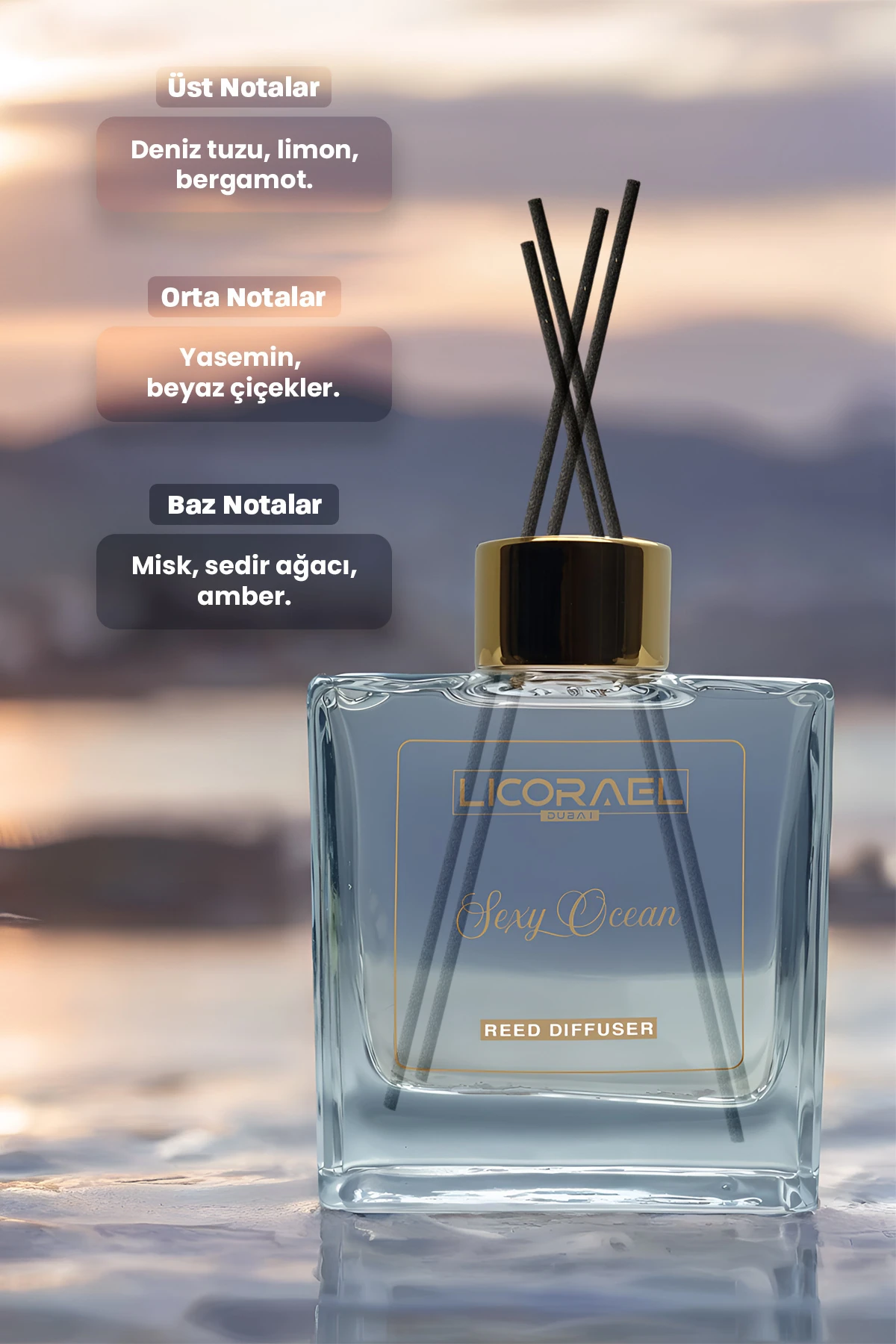 ODA KOKUSU - ÇUBUKLU - SEXY OCEAN 100ml