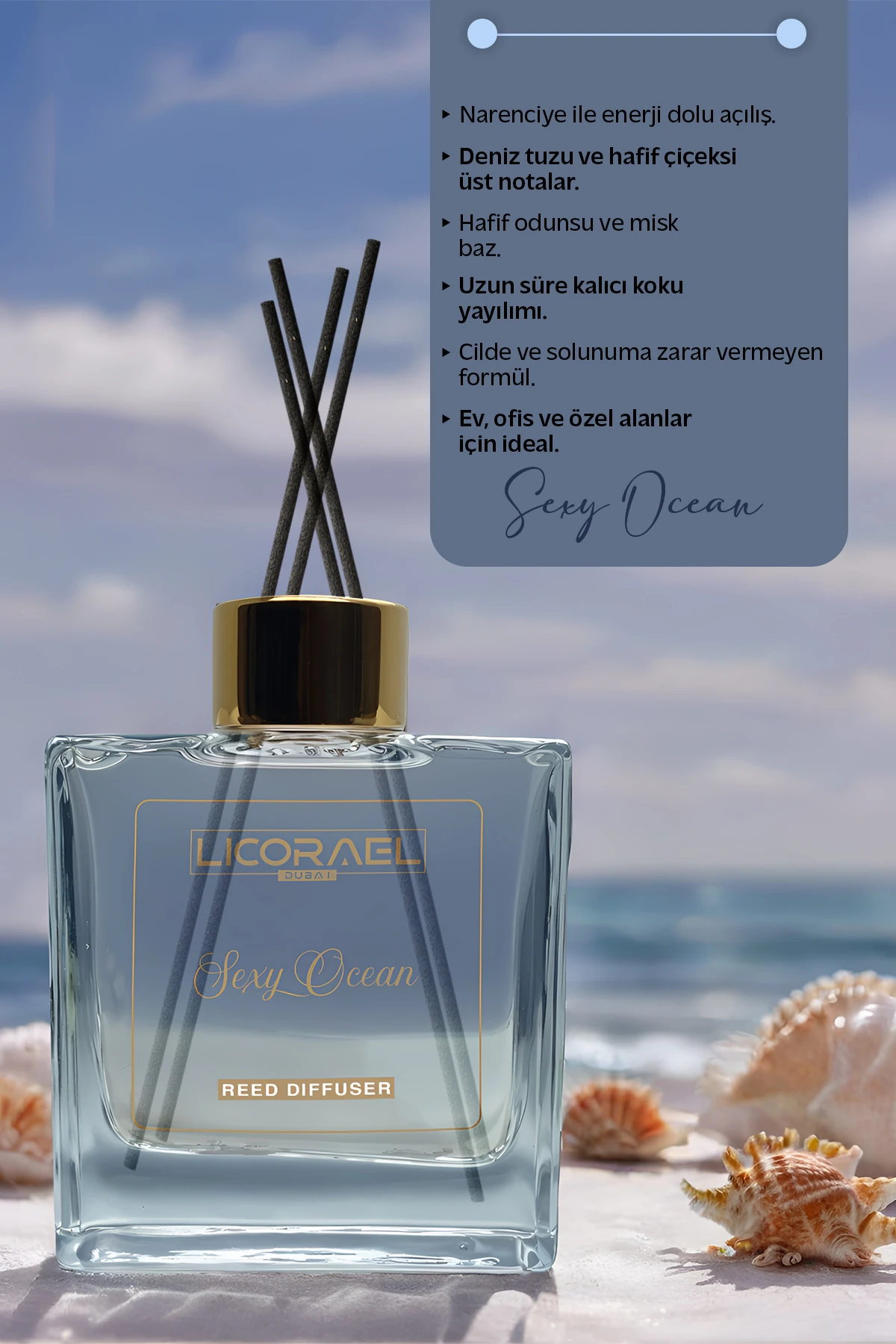 ODA KOKUSU - ÇUBUKLU - SEXY OCEAN 100ml
