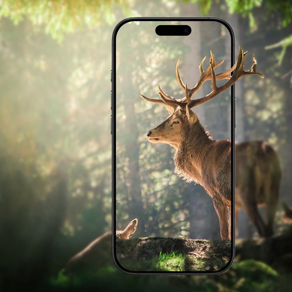 Uniq Apple iPhone 17 Air Optix Alüminyum Kamera Lens Koruyucu - Siyah