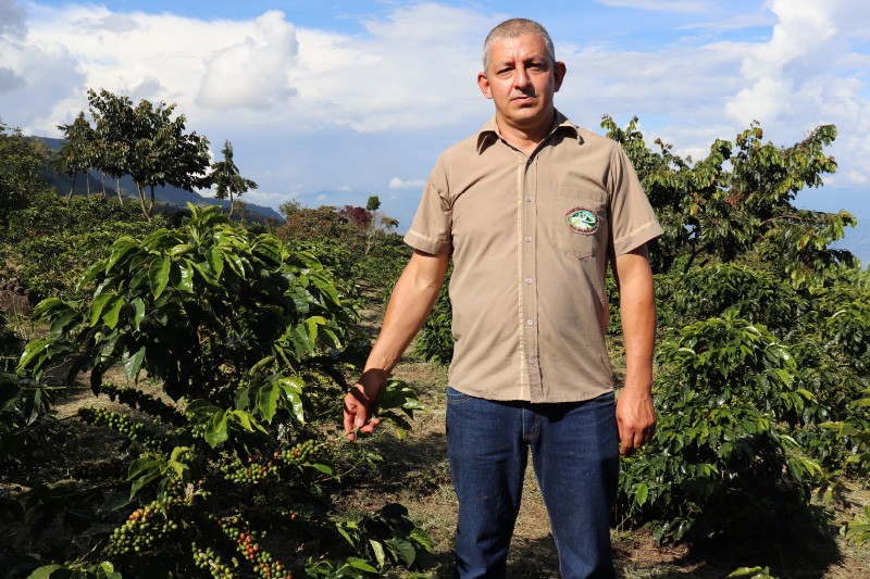 KOLOMBİYA PUERTO ARTURO GEISHA HONEY