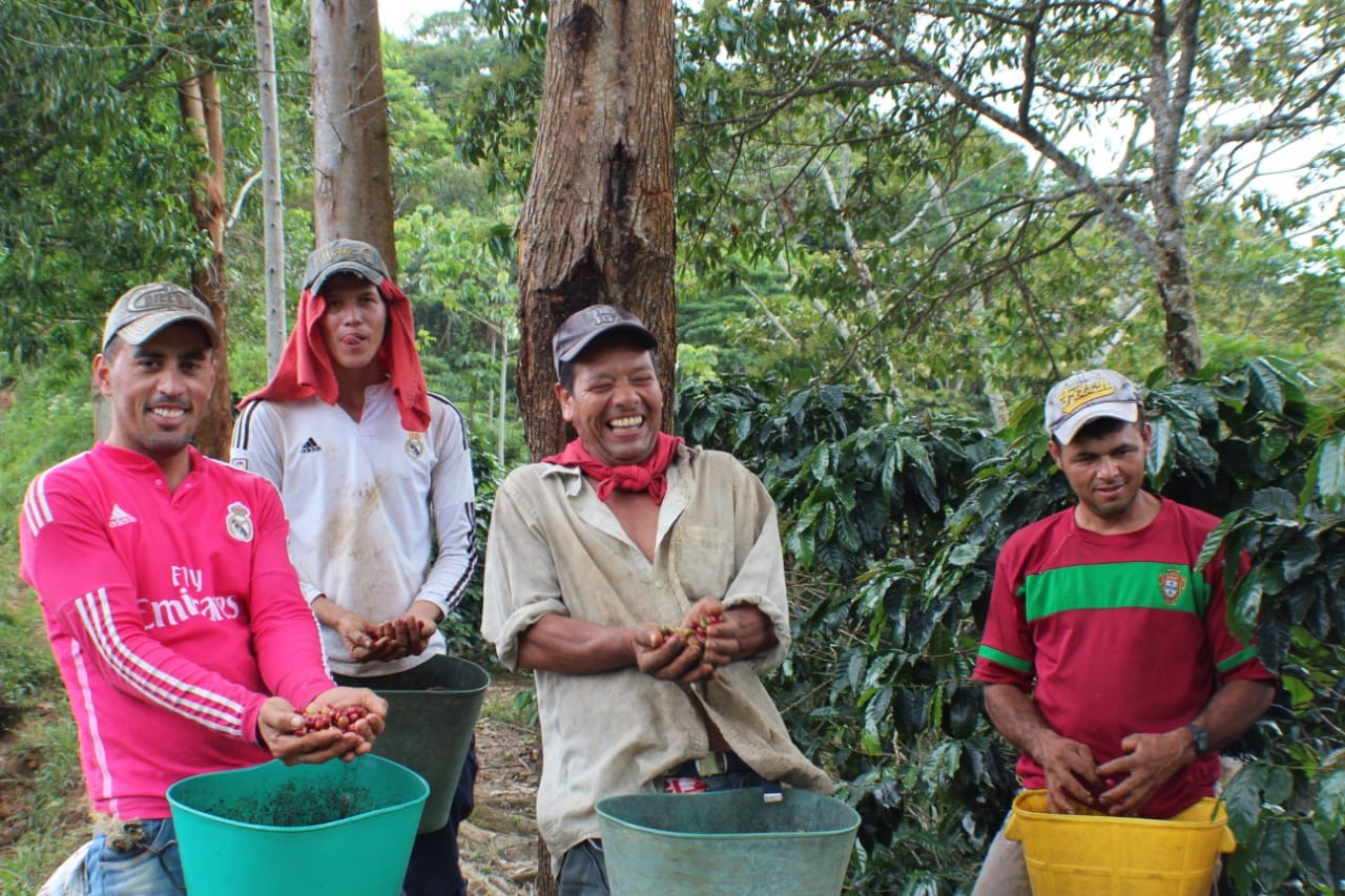KOLOMBİYA PUERTO ARTURO GEISHA HONEY
