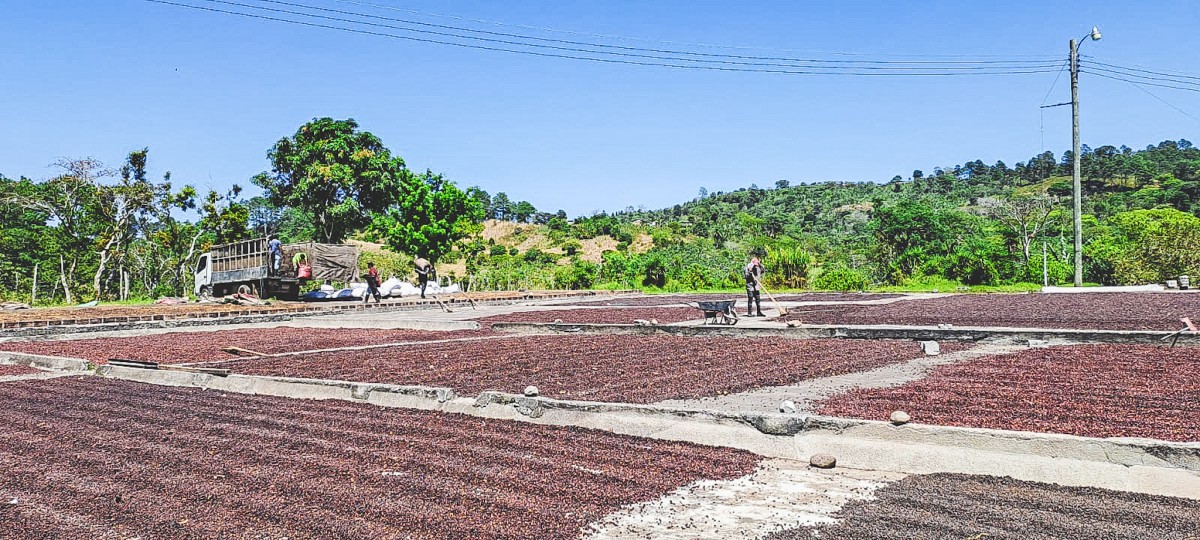 HONDURAS EL JARDIN DARK ROOM