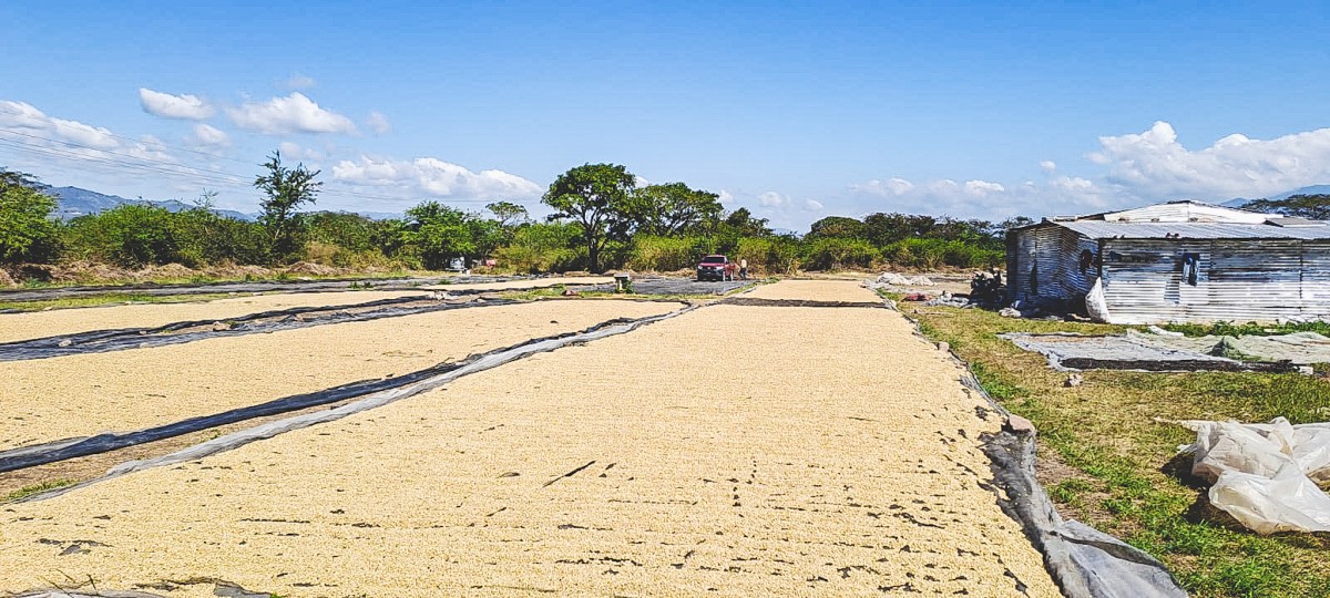 HONDURAS EL JARDIN DARK ROOM