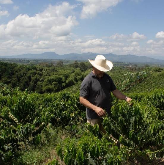 KOLOMBİYA FINCA MILAN