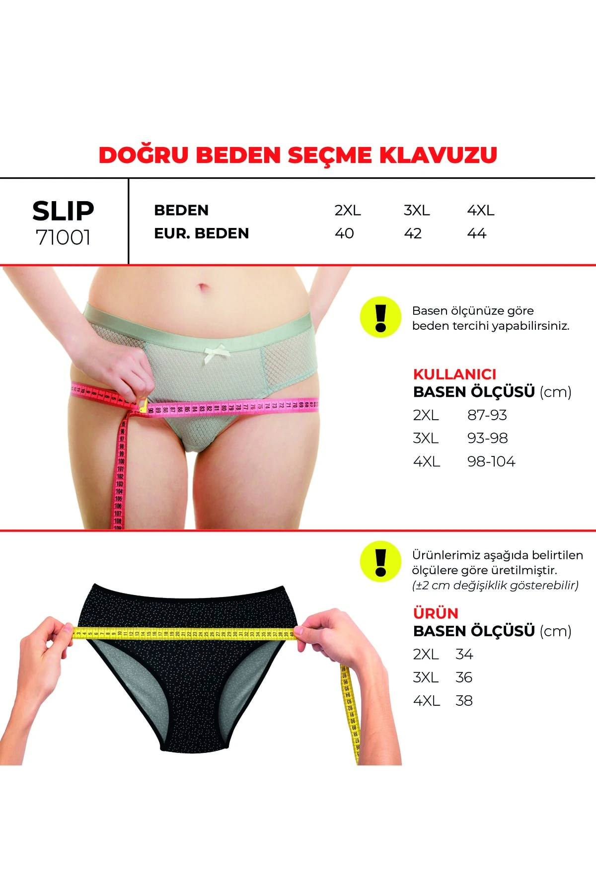 ALYA UNDERWEAR Kadın Baskılı Külot Batu (3'lü Paket)